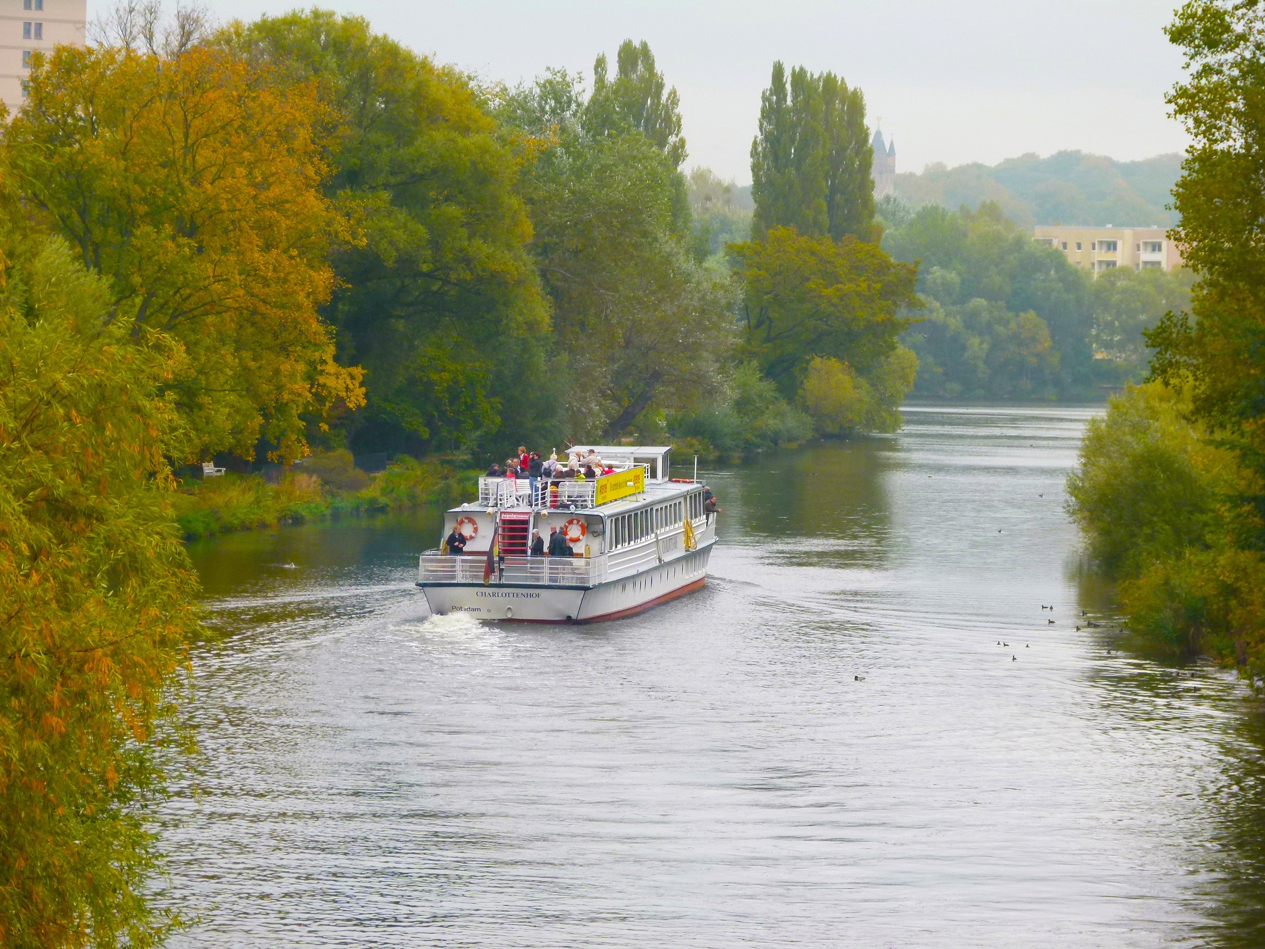 autumn, growth, day, view, river, scenics - nature, breathtaking view, water, outdoors, travel, motion, mode of transportation, cruise, scenic view, ferry, HD Wallpaper