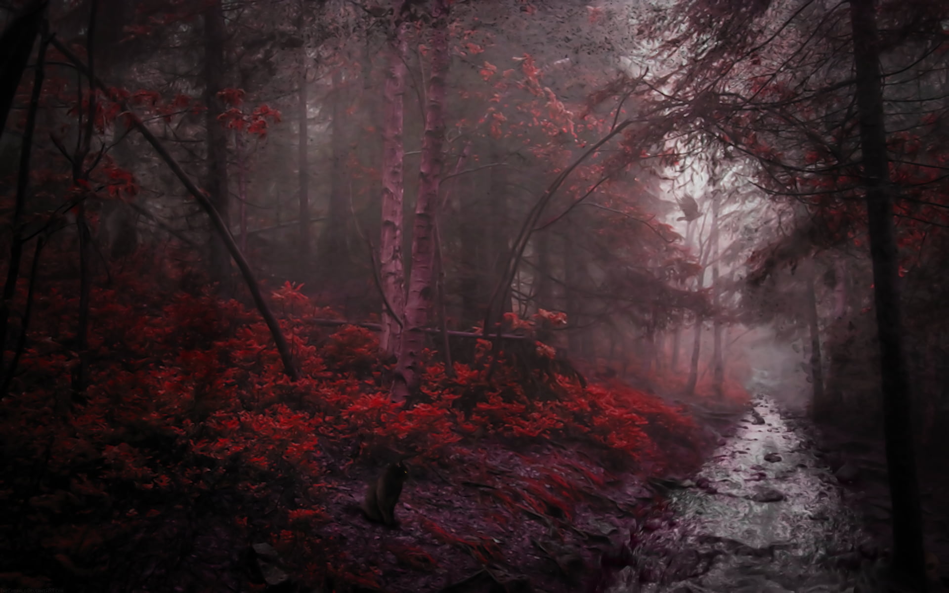 tranquil scene, tree trunk, outdoors, woodland, crow, fog, tree, change, tranquility, non-urban scene, branch, no people, scenics - nature, river, land, HD Wallpaper