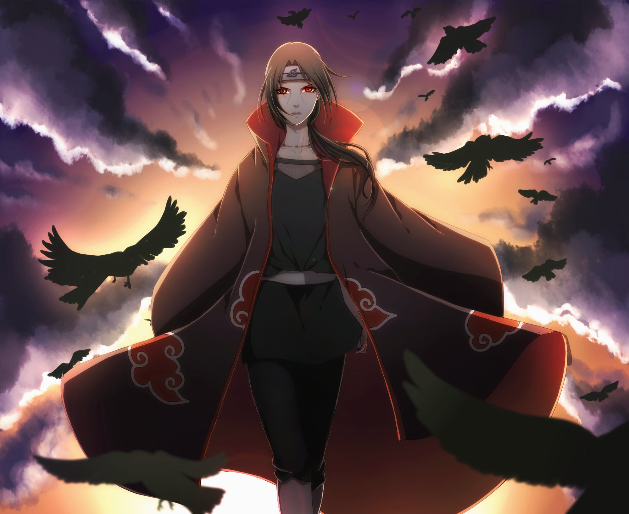 art, vector, holding, dark, silhouette, computer Graphic, standing, front view, one person, illustration, fantasy, spooky, leisure activity, adult, crows, HD Wallpaper
