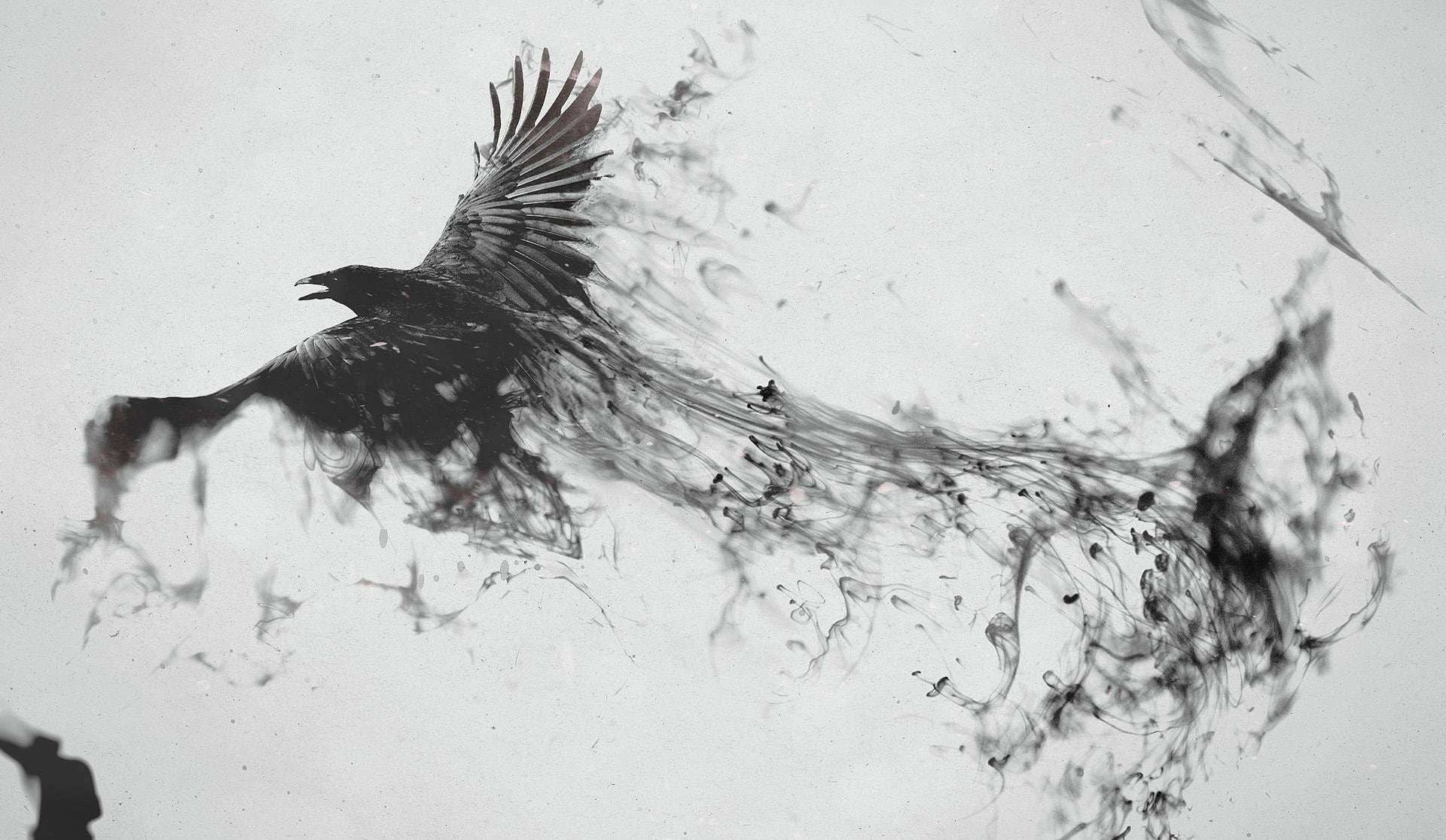 splashing, motion, gray, no people, abstract, aggression, outdoors, animal wildlife, water, 1080P, nature, bird, creativity, ravens black and white dark birds digital art, HD Wallpaper