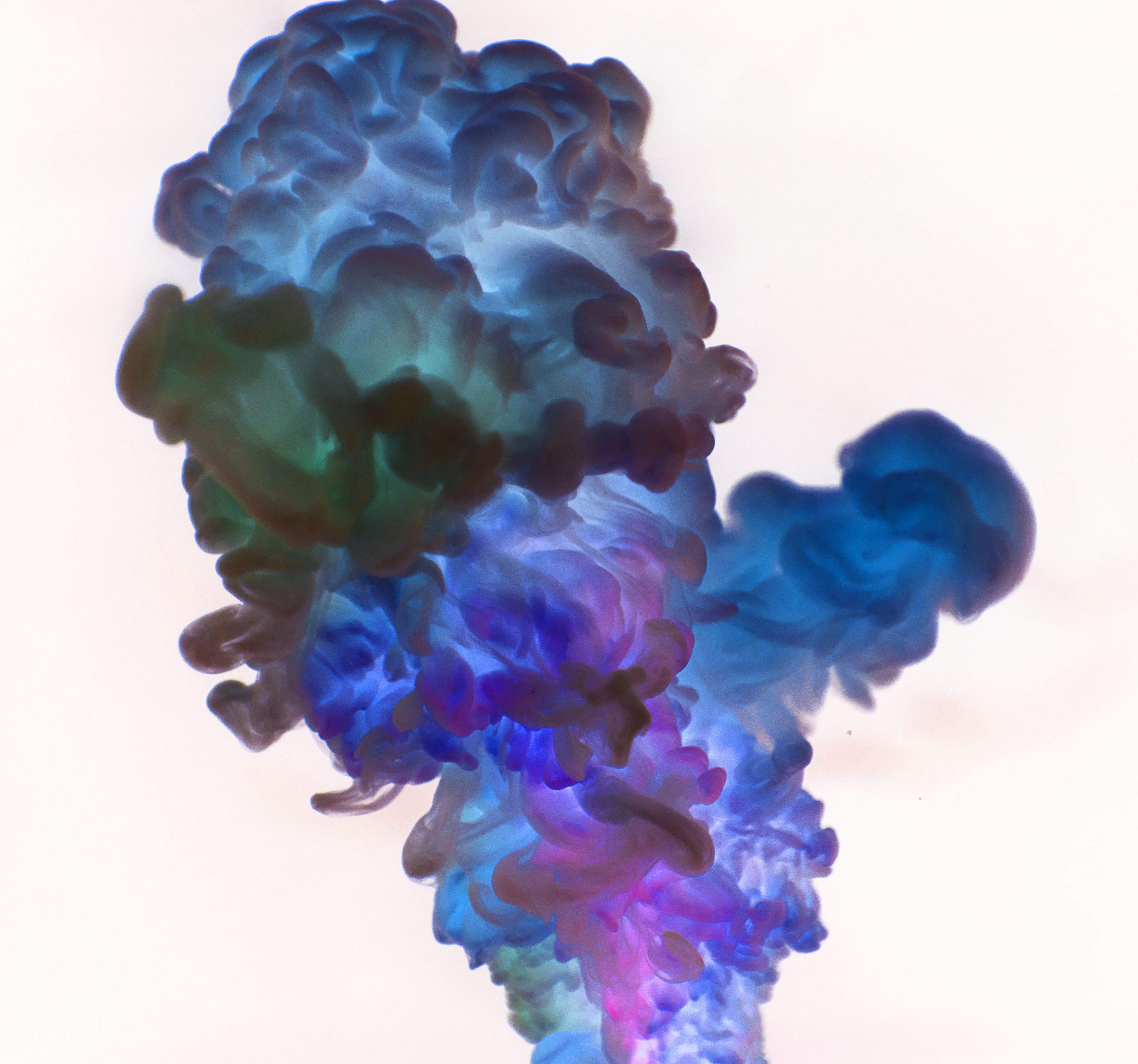 green, blue, nature, white background, ink, motion, purple, indoors, design, photography, image, 4K, creativity, underwater, mixing, 4k, HD Wallpaper