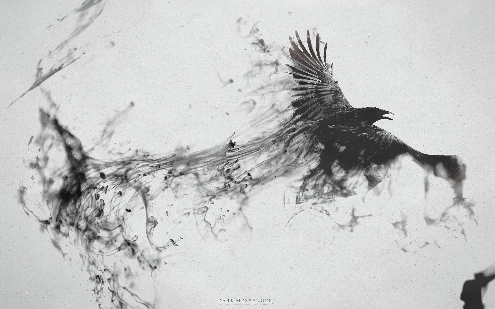 water, nature, art and craft, motion, 1080P, bird, artwork, indoors, animal, aggression, mid-air, activity, dissolving, splashing, flying, creativity, HD Wallpaper