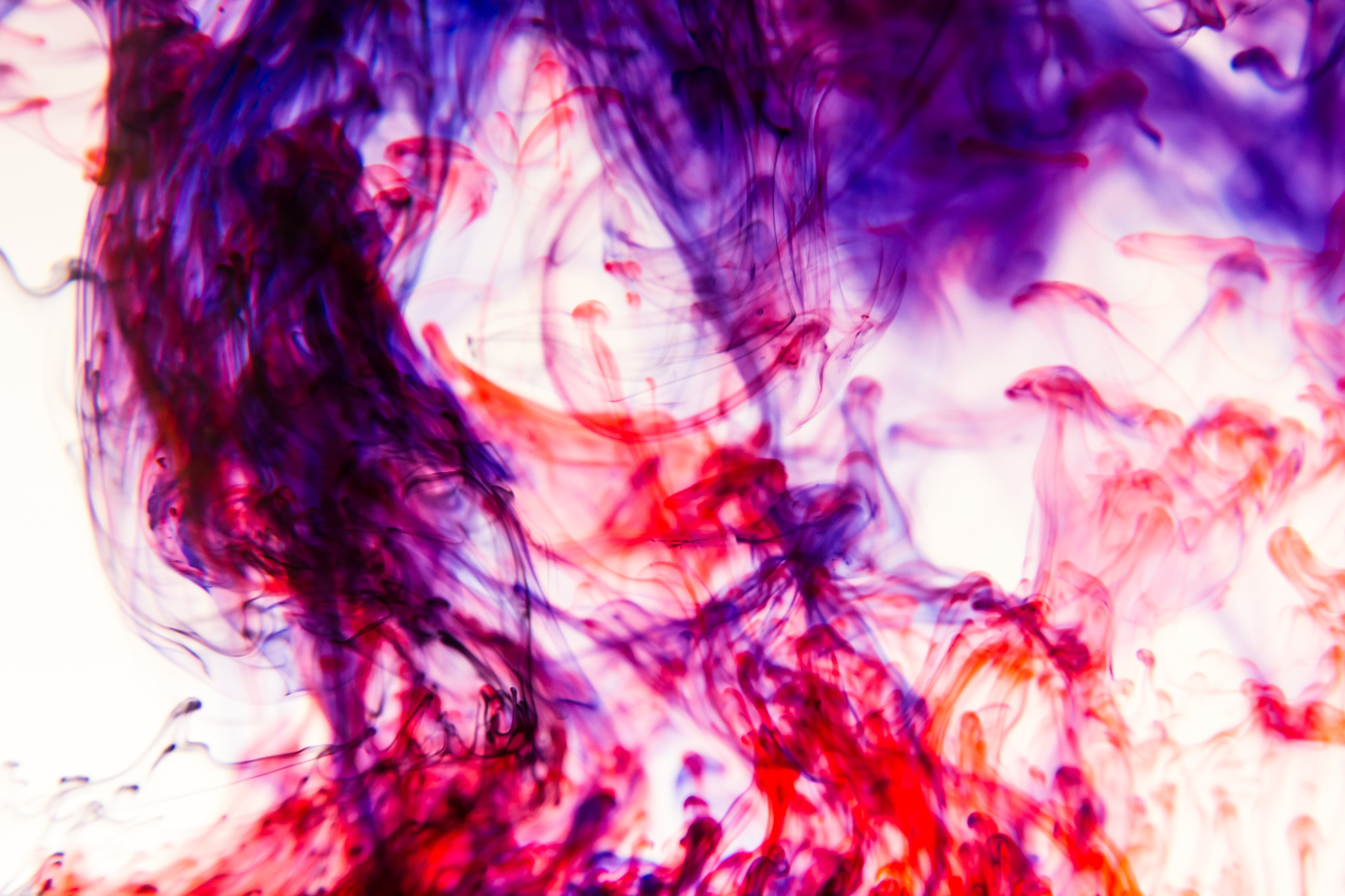 paint, indoors, smoke - Physical Structure, illustration, water, colors, multi Colored, white, swirl, ink, studio shot, chaos, blurred Motion, mixing, design, HD Wallpaper