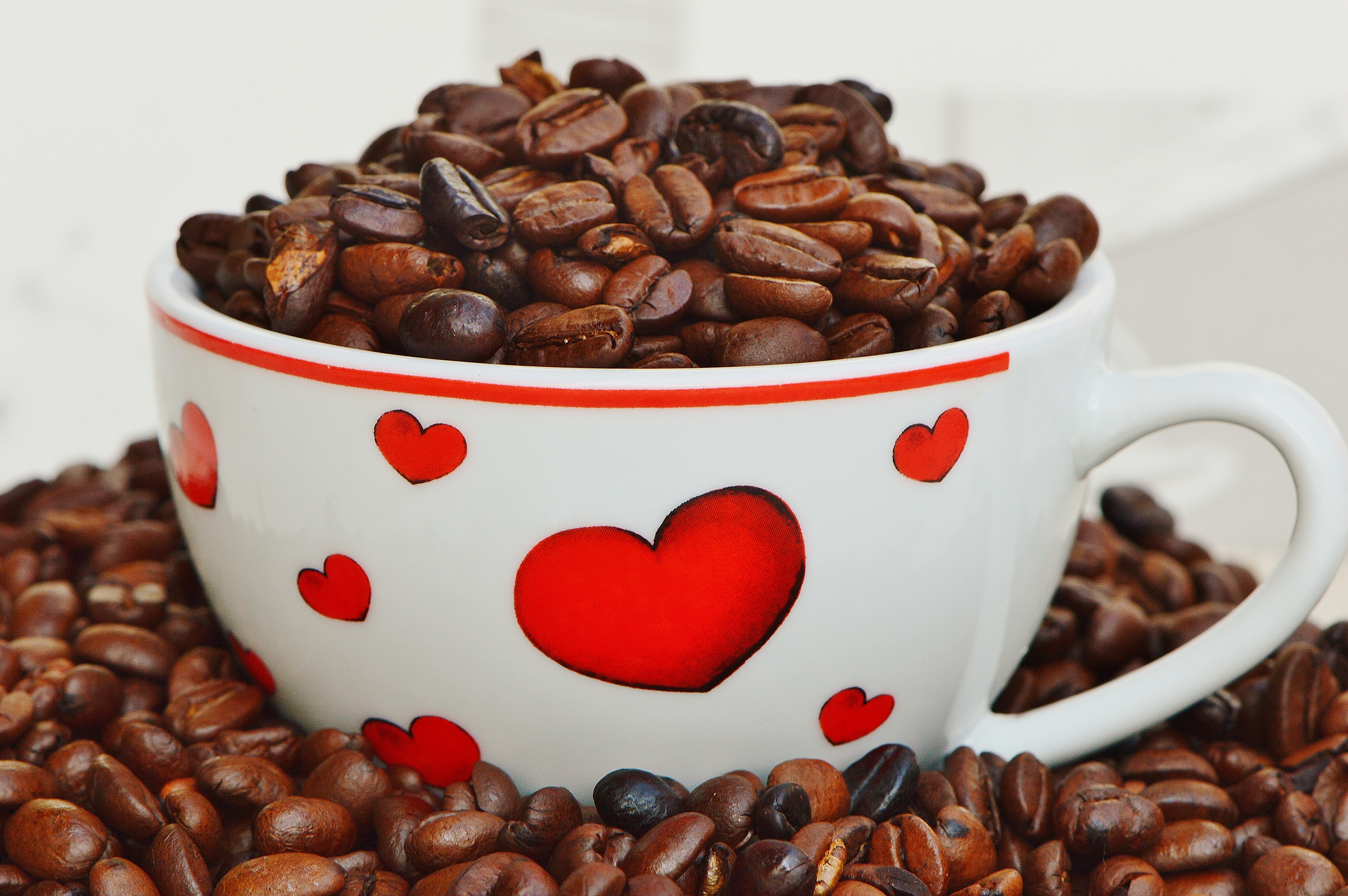 filled, enjoy, valentines day, indoors, white, roasted coffee bean, freshness, beans, espresso, still life, fragrance, coffee, refreshment, coffee bean, HD Wallpaper