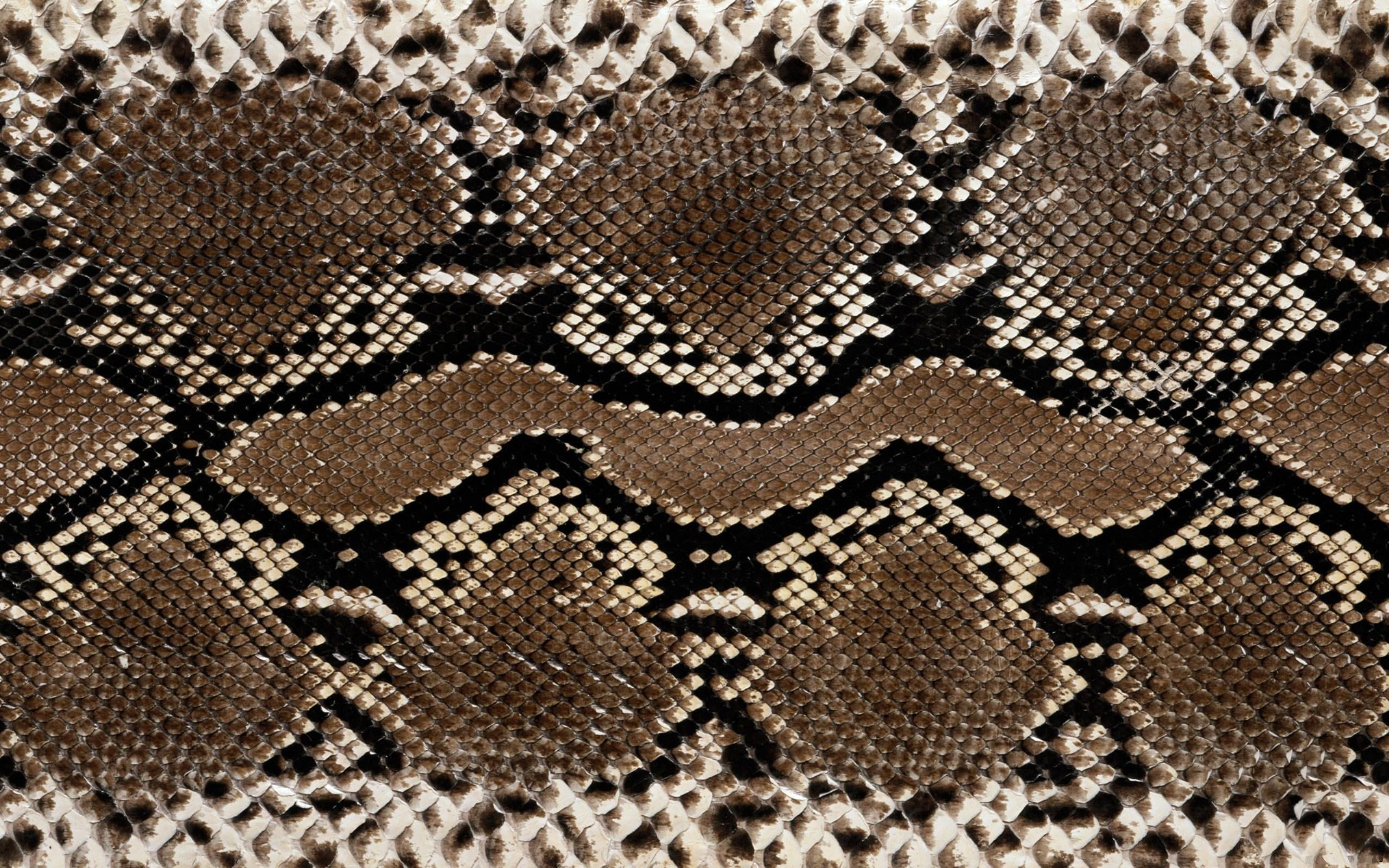 textured, decoration, animal themes, textured Effect, no People, leather, snakes, snakeskin, craft, industry, old-fashioned, linen, material, animal, design, HD Wallpaper