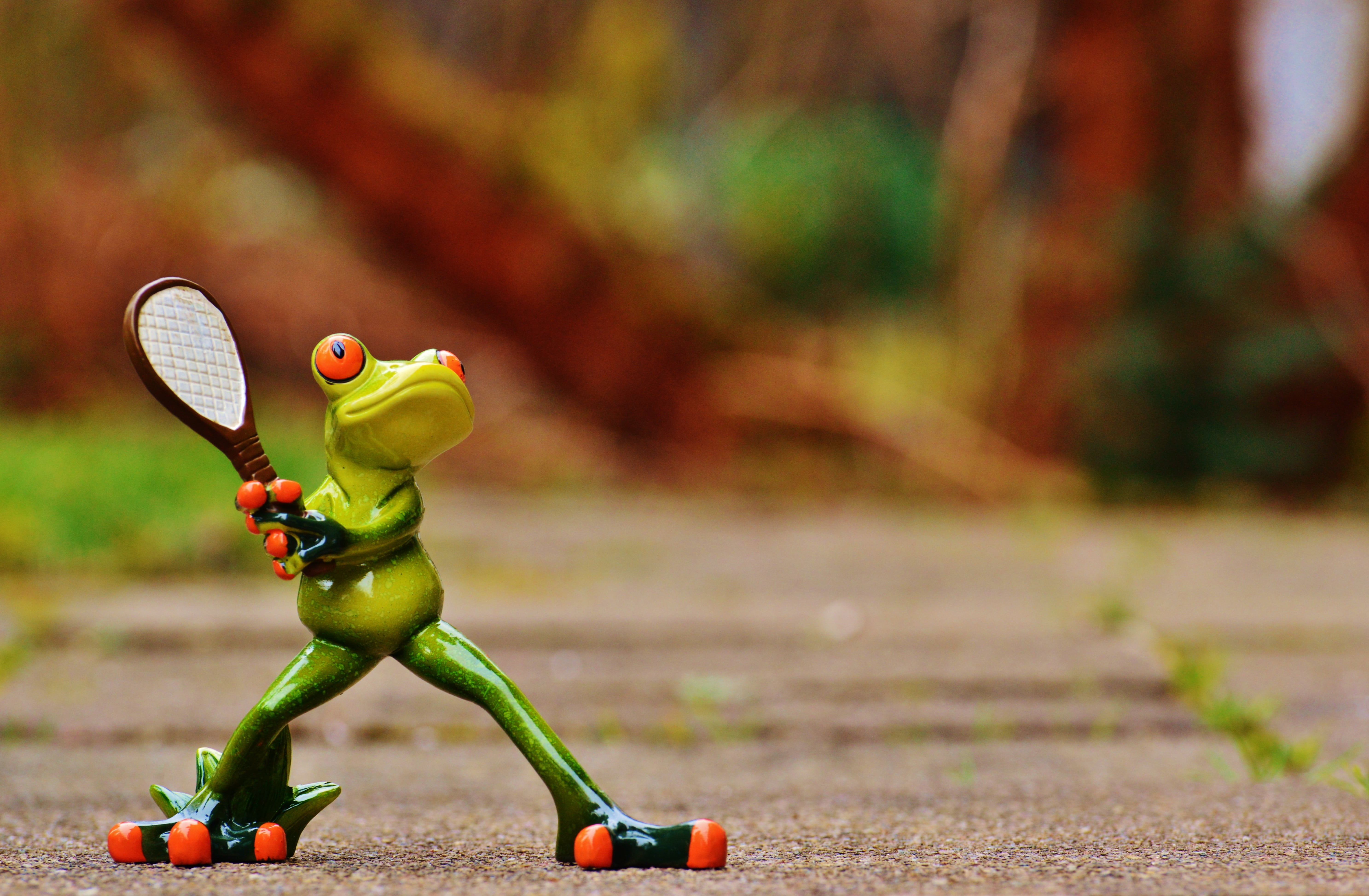 tennis racket, sporty, full length, childhood, outdoors, sport, toy, holding, funny, leisure Games, frog, figurine, tree, small, cute, sweet, sports equipment, HD Wallpaper