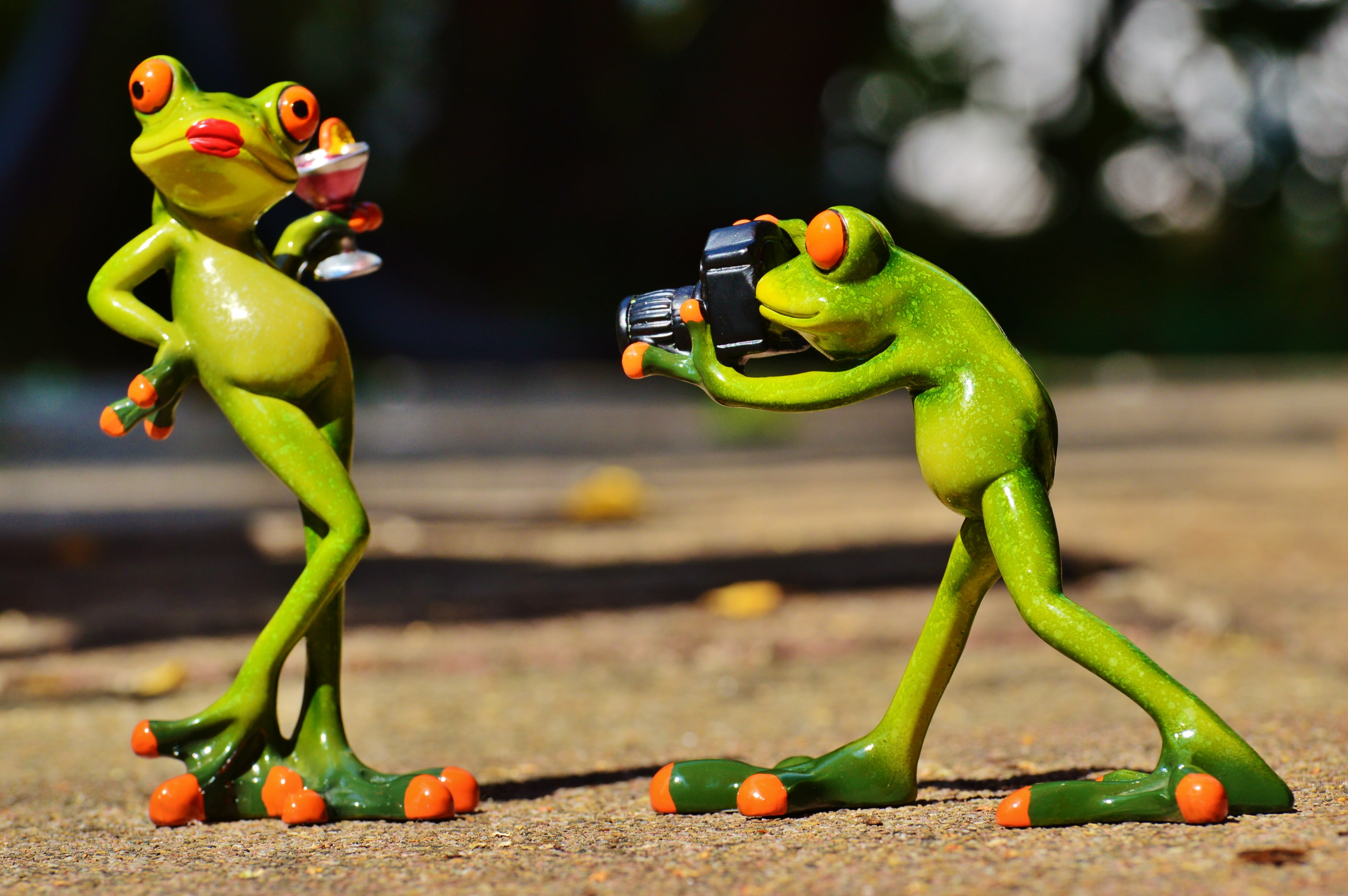 representation, toys, photograph, vegetable, humor, cocktail, animal, healthy eating, fun, 4K, fruit, green, two, food, toy, camera, day, are, photographer, HD Wallpaper