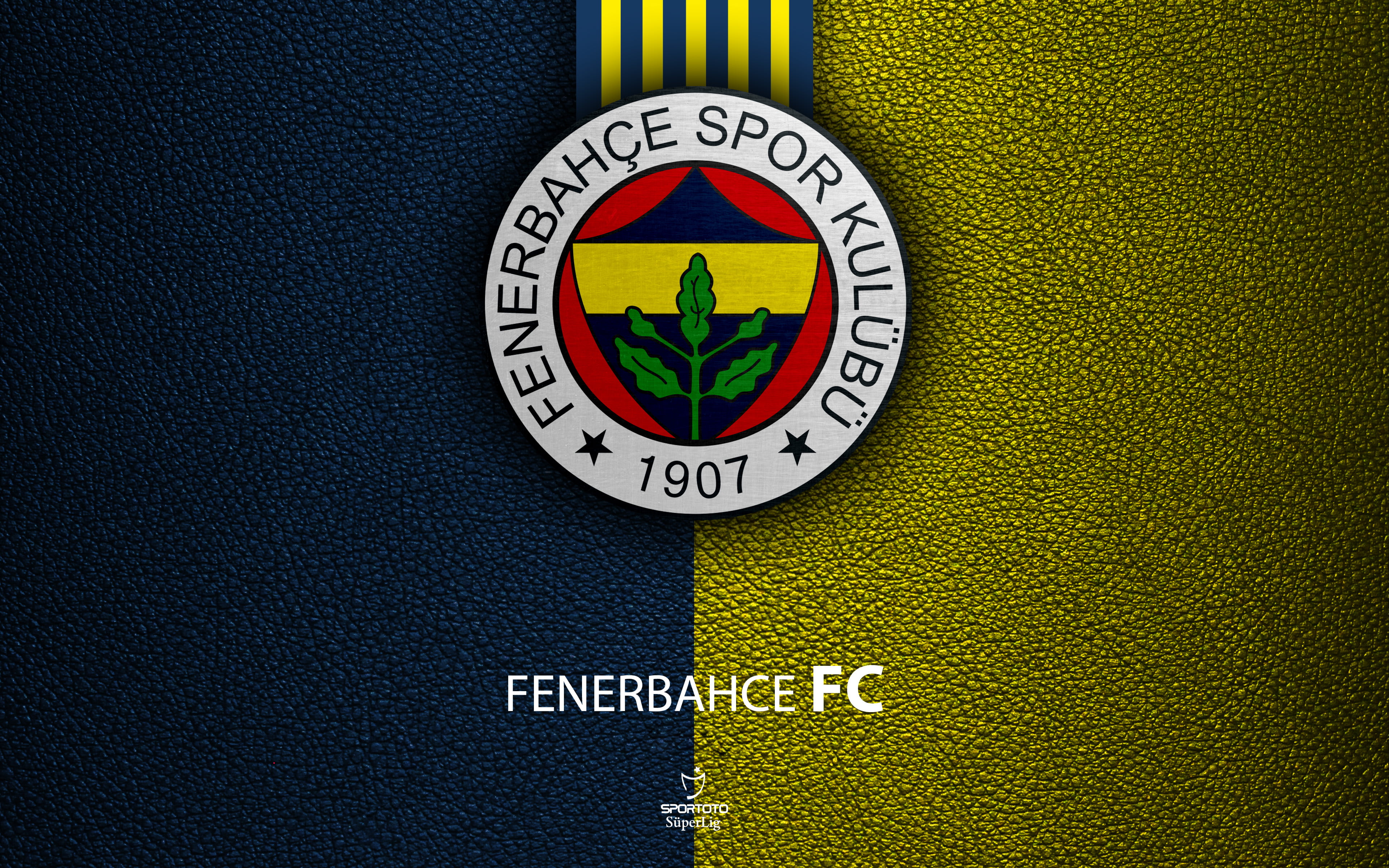 Logo, Soccer, Fenerbahçe S.K., 4K, Emblem, HD Wallpaper