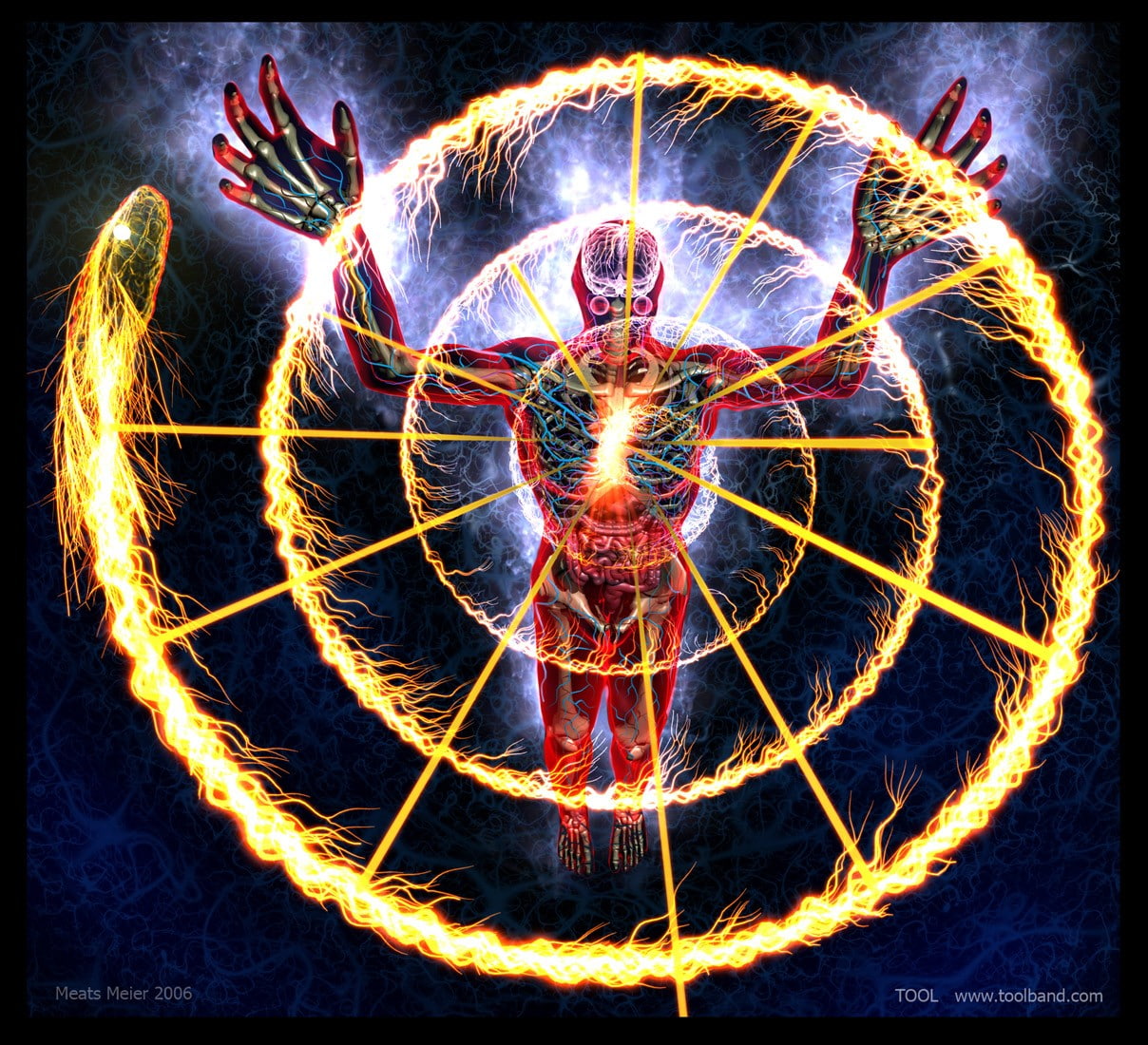 Tool, 480P, HD Wallpaper