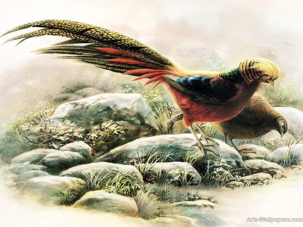 Chinese, 480P, animals, painting, birds, Bird, art, hd, HD Wallpaper