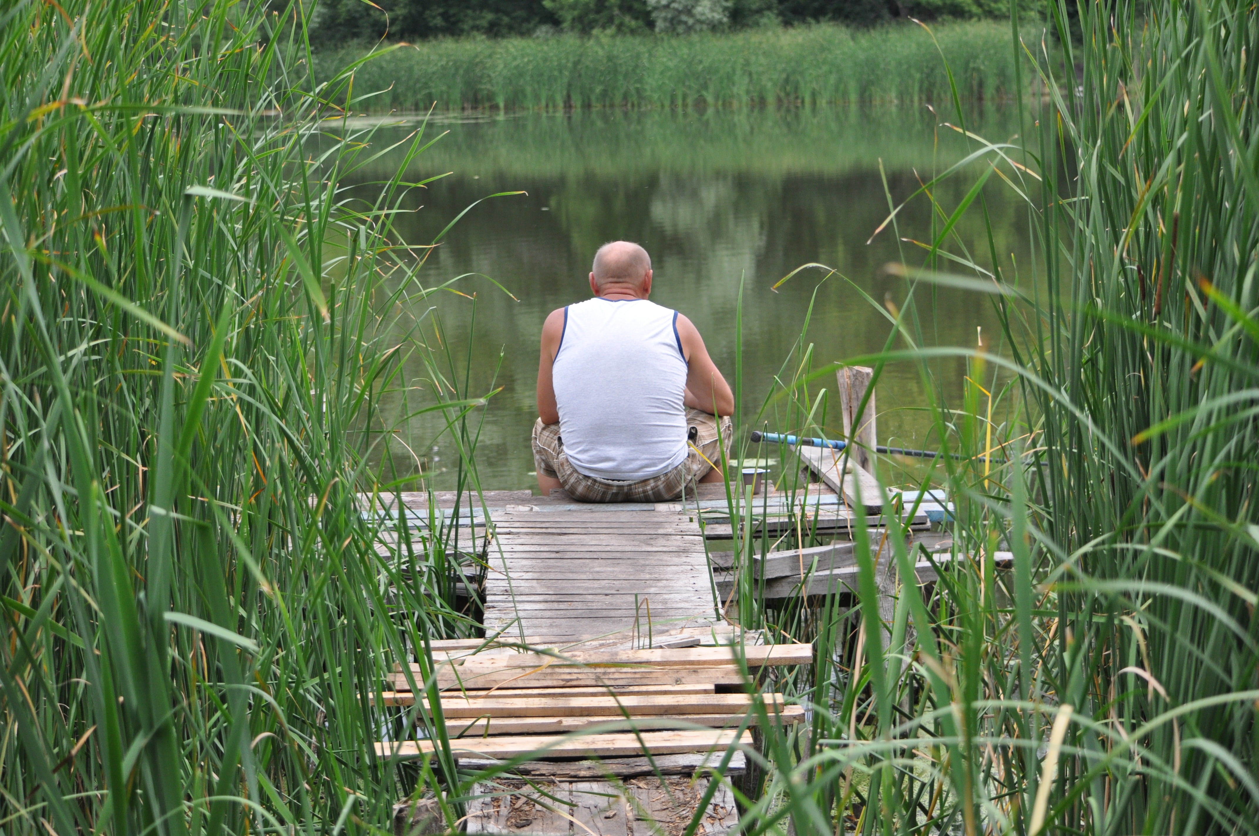 fisherman, russian, tambov, river, day, freshwater, vacation, lake, adult, men, green color, hobby, plant, fish, 4K, lifestyles, real people, one person, HD Wallpaper