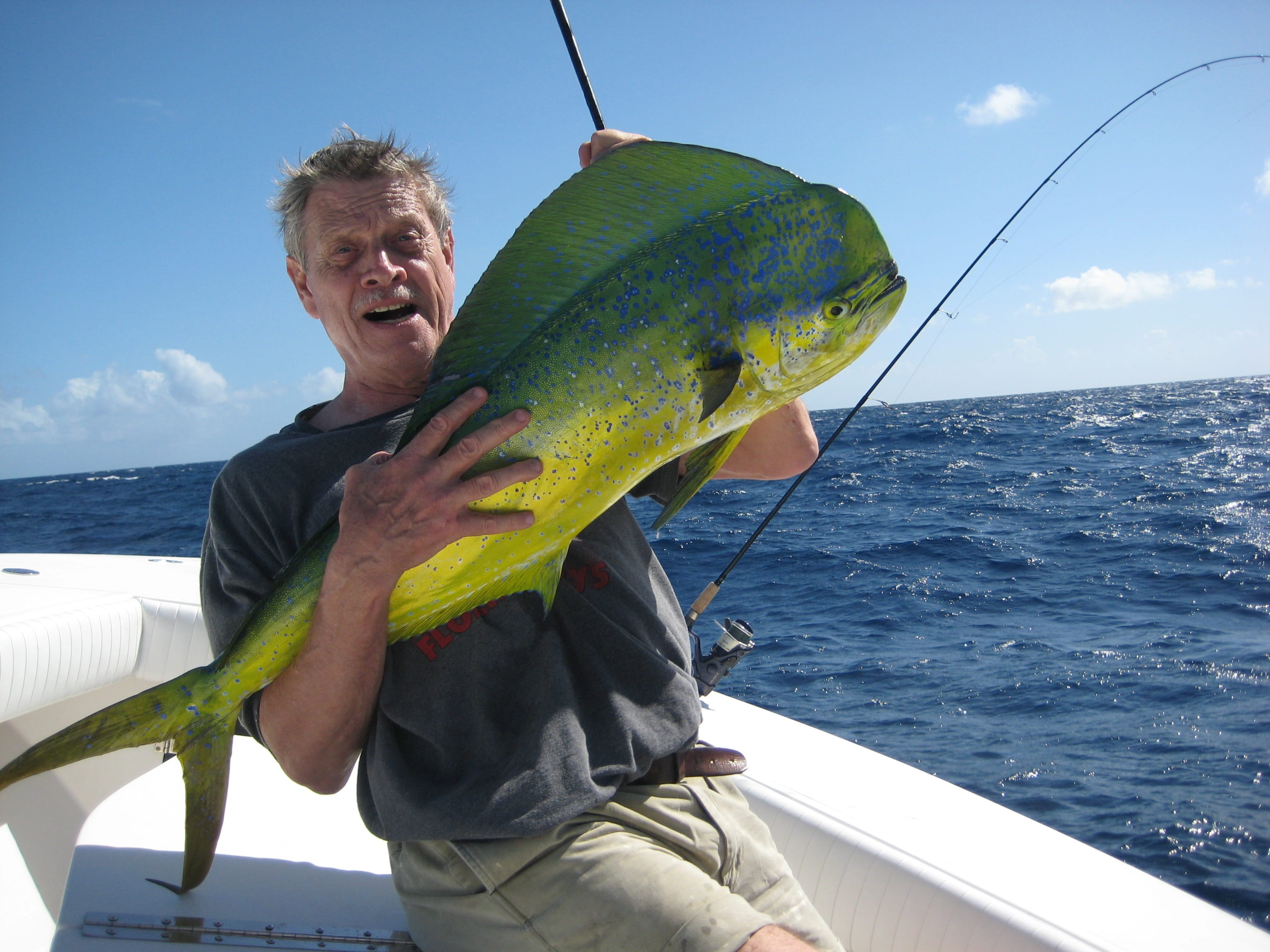 caucasian Ethnicity, sport, fish, males, adults Only, holding, day, mature Adult, people, adult, 2K, mode of Transport, coryphaena hippurus, senior Men, HD Wallpaper