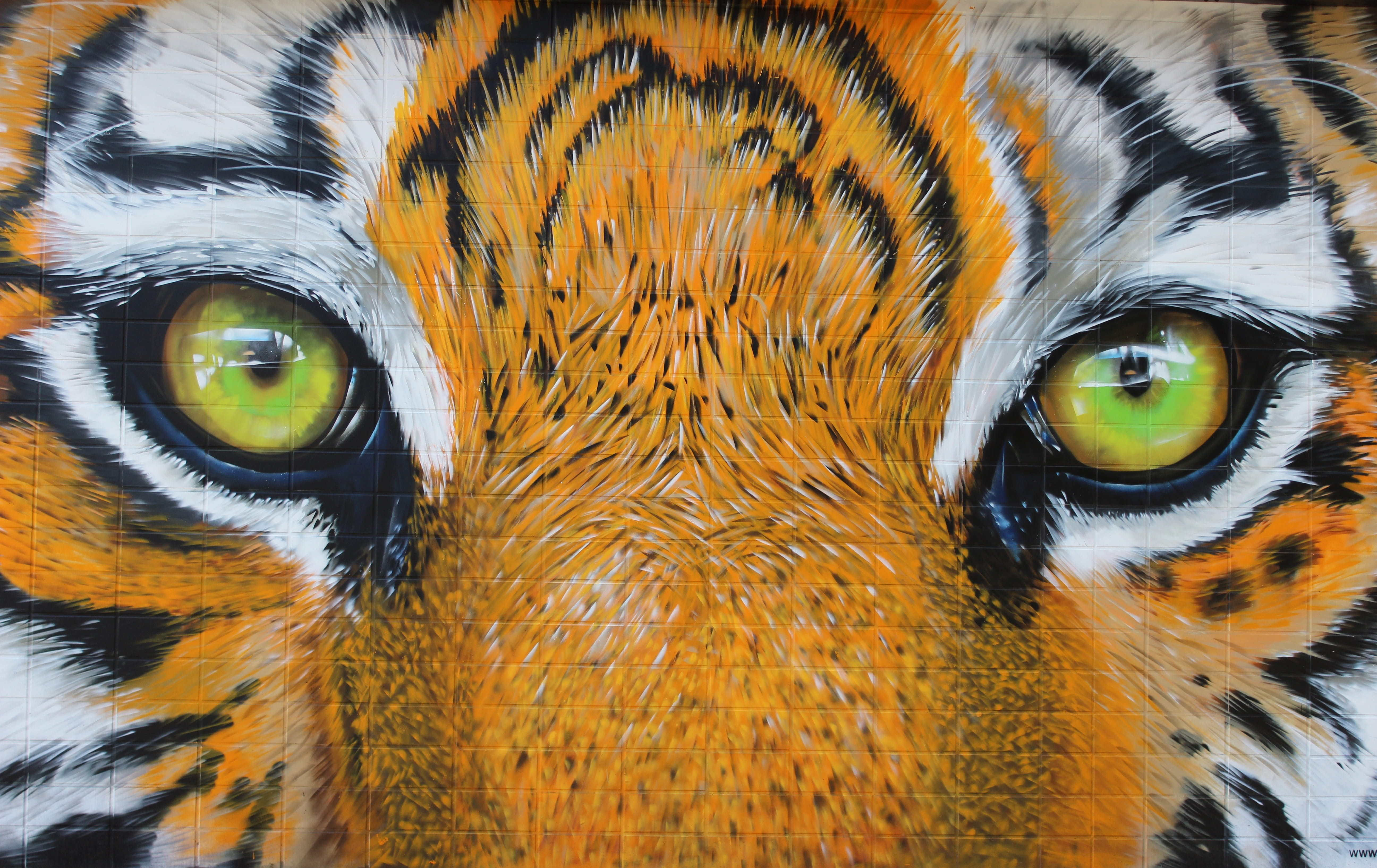 cat, animal wildlife, animal body part, tigers, feline, owl, no people, tiles, orange color, bird of prey, predator, close, yellow eyes, animal head, portrait, HD Wallpaper