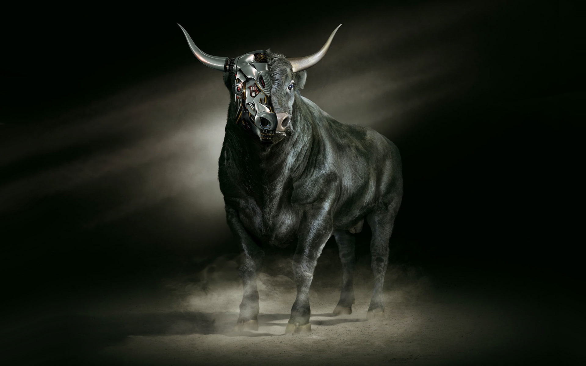 one Animal, Bull, herbivorous, metal, standing, looking at camera, nature, cow, power, robot, horned, bull - Animal, studio shot, indoors, domestic animals, HD Wallpaper
