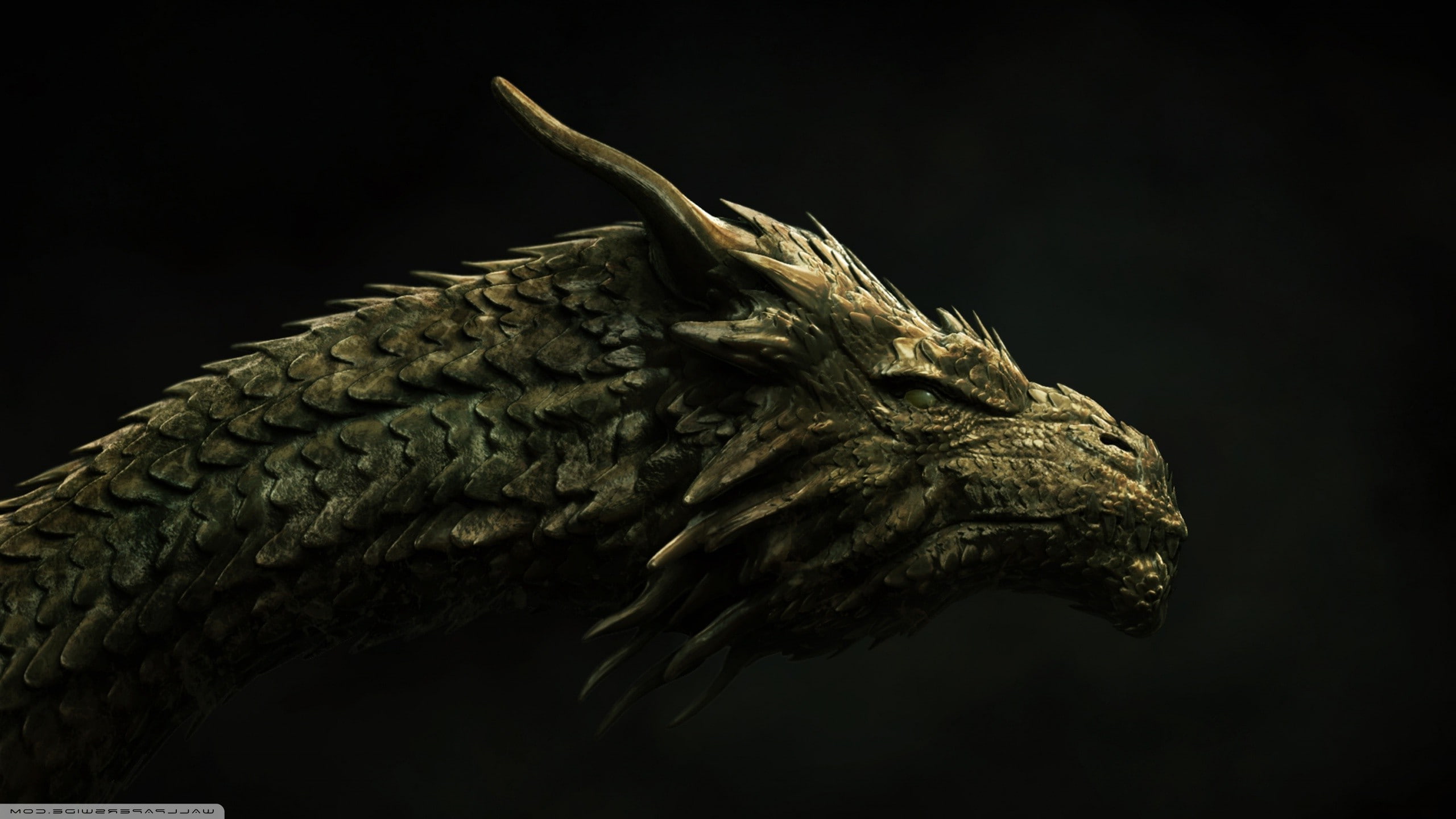 side view, animal themes, no people, bird, indoors, taxidermy, close-up, textured, black background, reptile, studio shot, animals in the wild, animal body part, HD Wallpaper