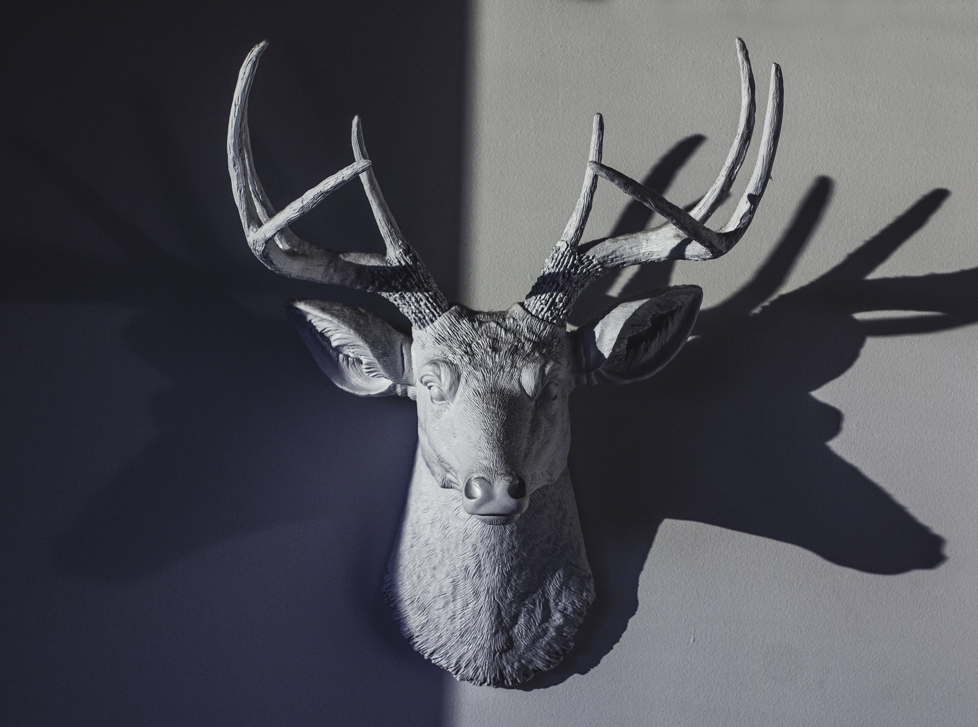 animal representation, wall - building feature, Deer, representation, one animal, single object, animal wildlife, close-up, Sculpture, horns, animal, no people, HD Wallpaper