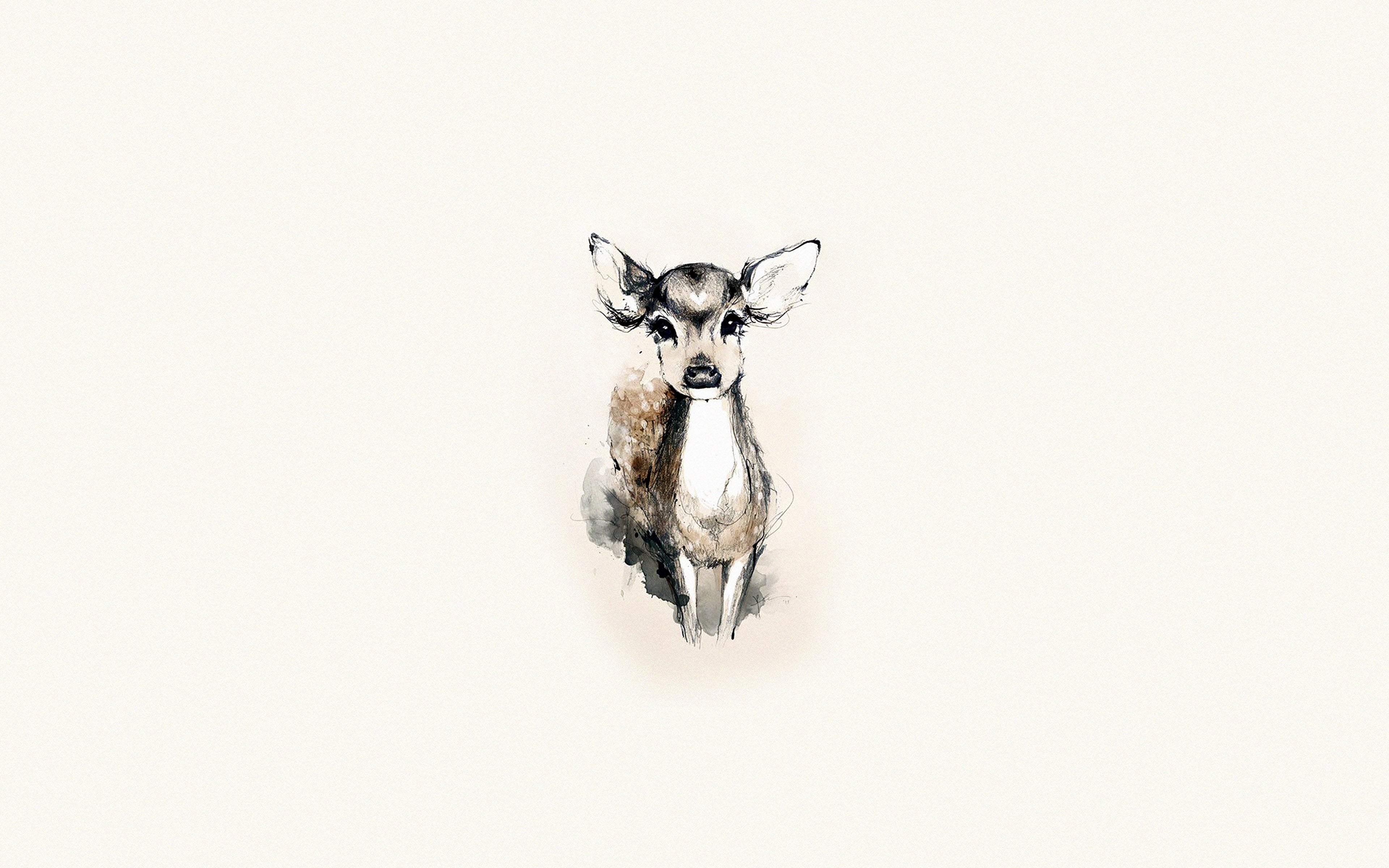 tiny, animal head, studio shot, no people, copy space, art, deer, looking at camera, dog, animal, pets, animal body part, domestic animals, canine, digital composite, HD Wallpaper