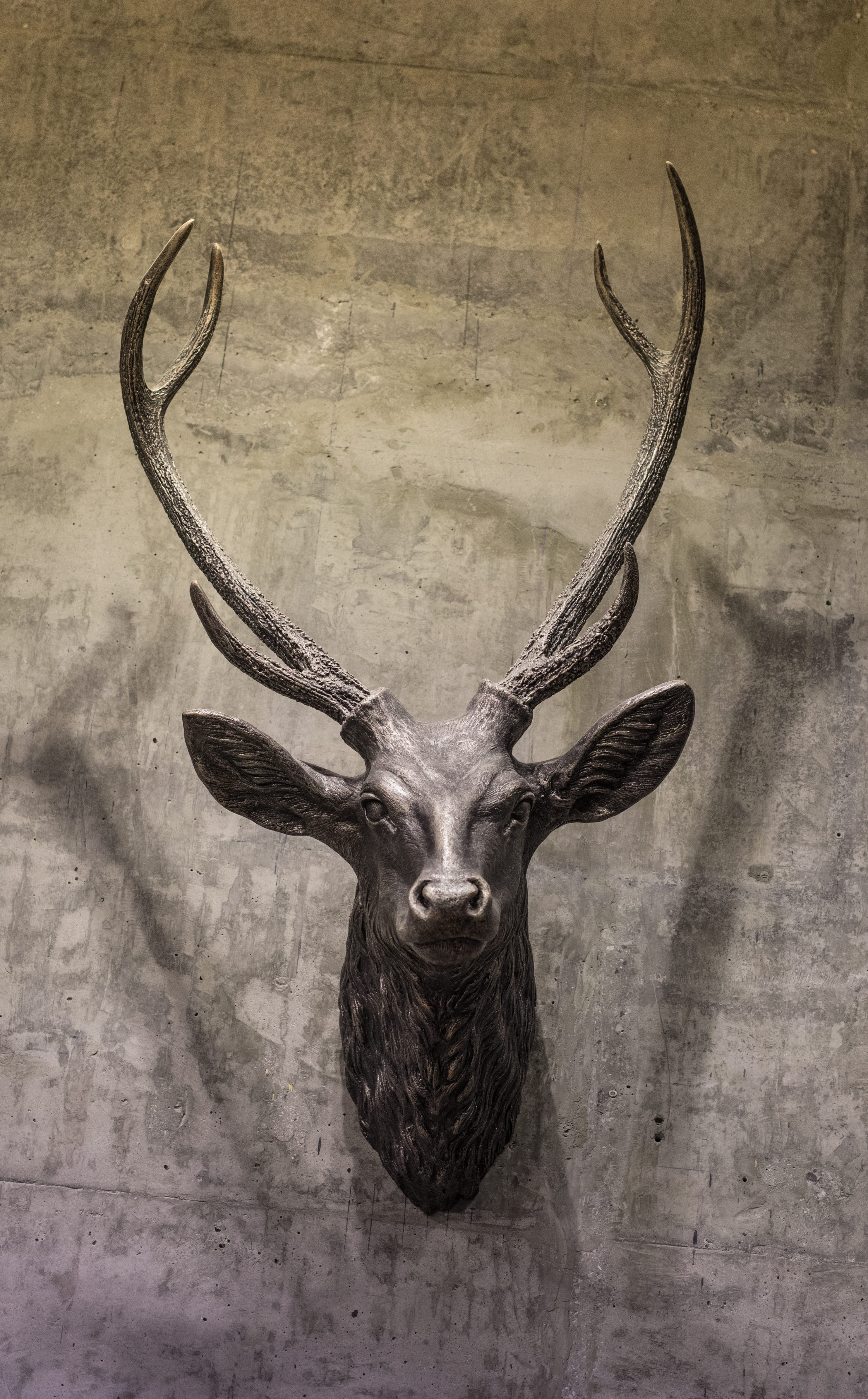 loft, award, taxidermy, animal themes, 4K, representation, horned, design, dubai, animal wildlife, indoors, sculpture, no people, united arab emirates, Phone HD Wallpaper