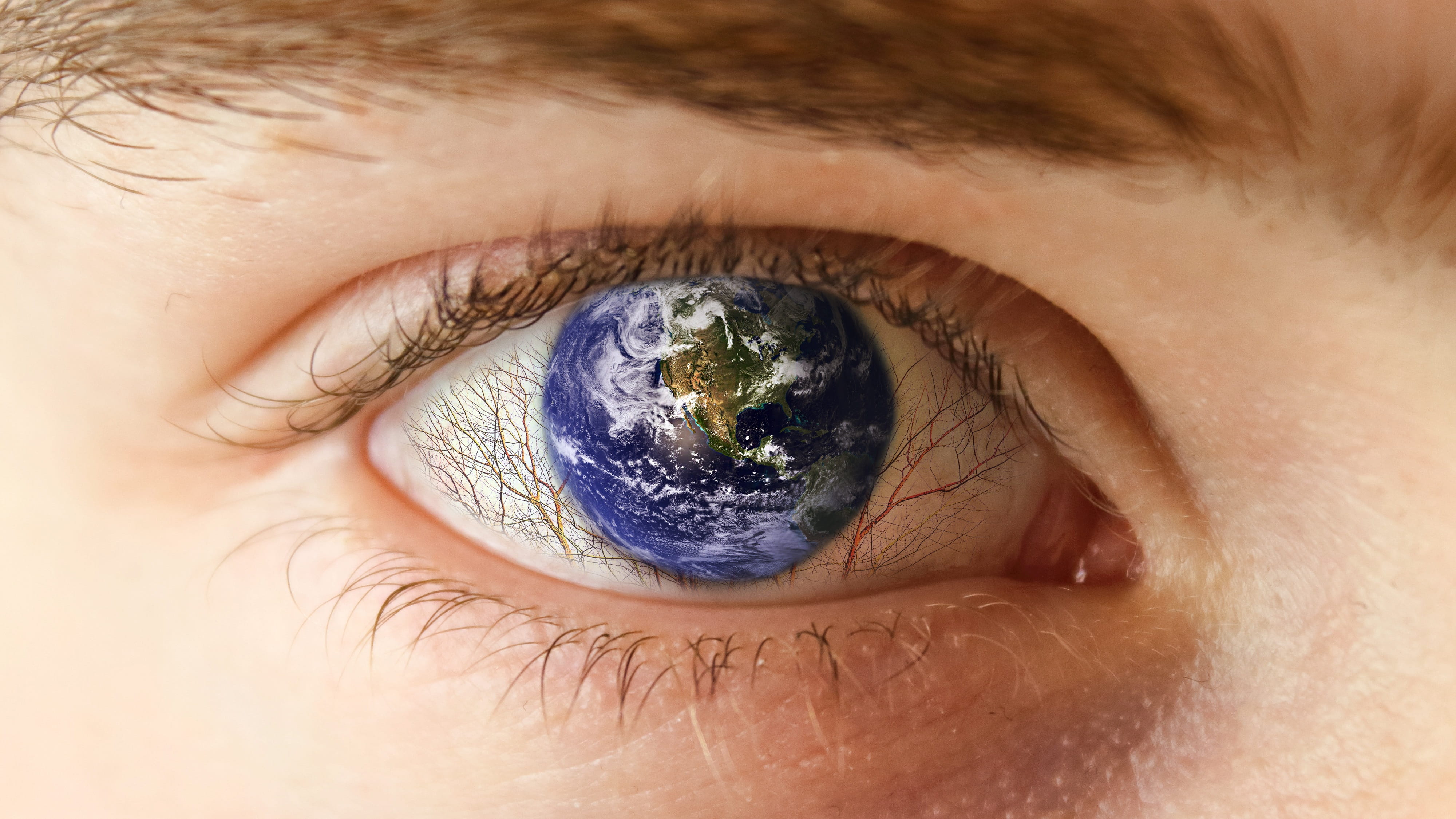 view, picture, child, iris - eye, sensory perception, ecology, eyes, eyelash, earth, extreme close-up, one person, digital composite, nature, wood, eyesight, HD Wallpaper