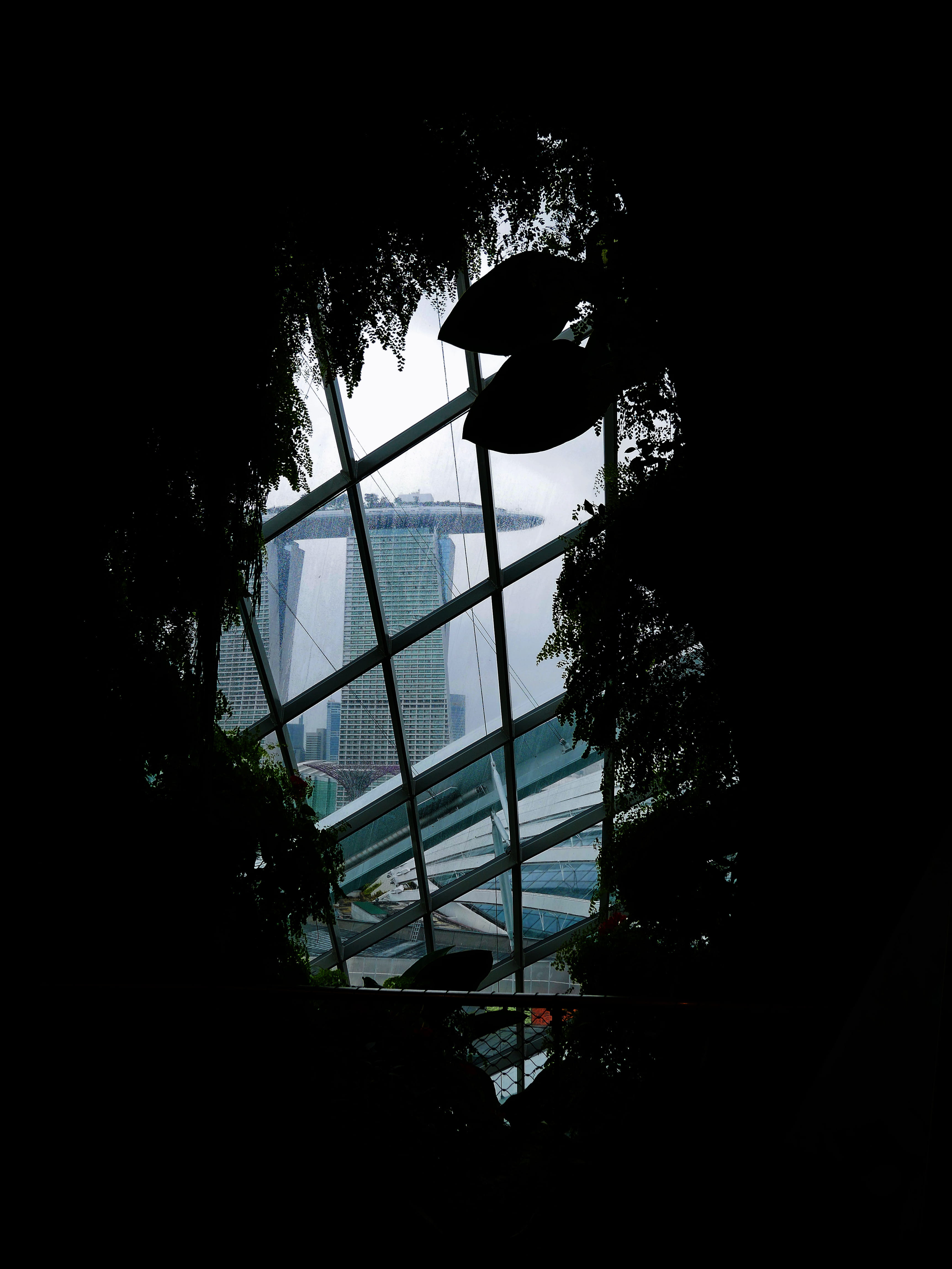 future city, copy space, greenhouse, double exposure, marina bay sands hotel, dark, nature, built structure, world travel, plant, architecture, cloud forest, Phone HD Wallpaper