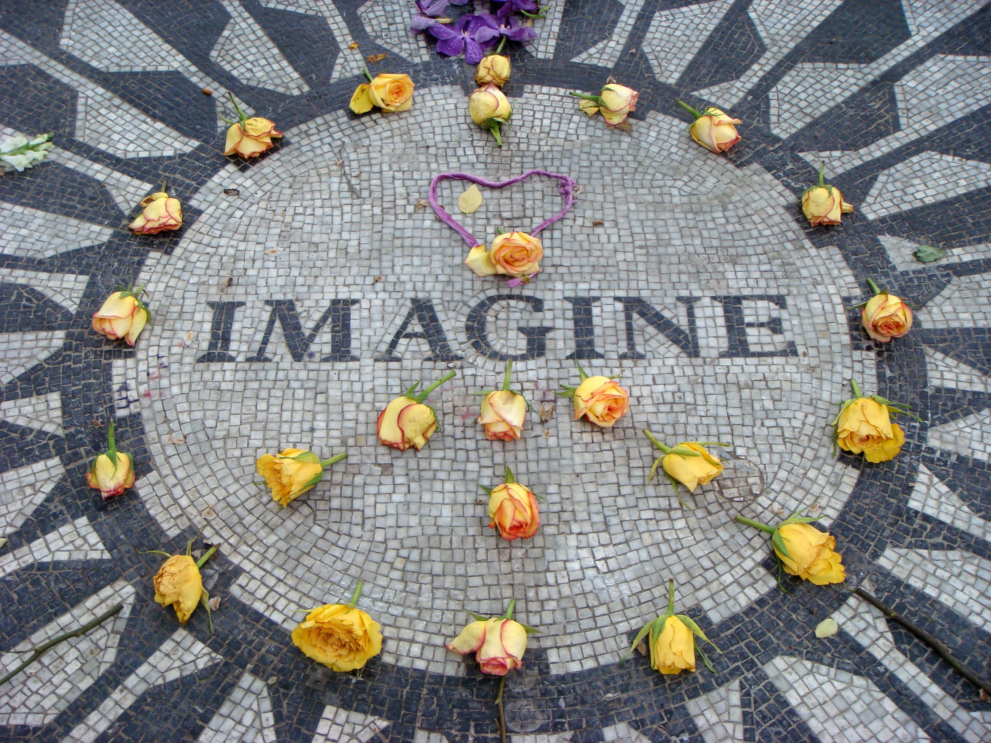indoors, text, manhattan, memorial, large group of objects, flowering plant, healthy eating, John Lennon, New York City, mosaic, love, scattered, no people, HD Wallpaper