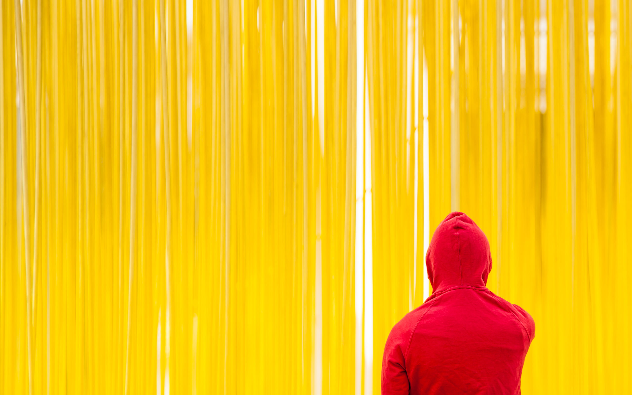 2K, indoors, men, adult, hd, jacket, portrait, blurred motion, headshot, one person, Hoodie, spaghetti, wall - building feature, standing, real people, HD Wallpaper