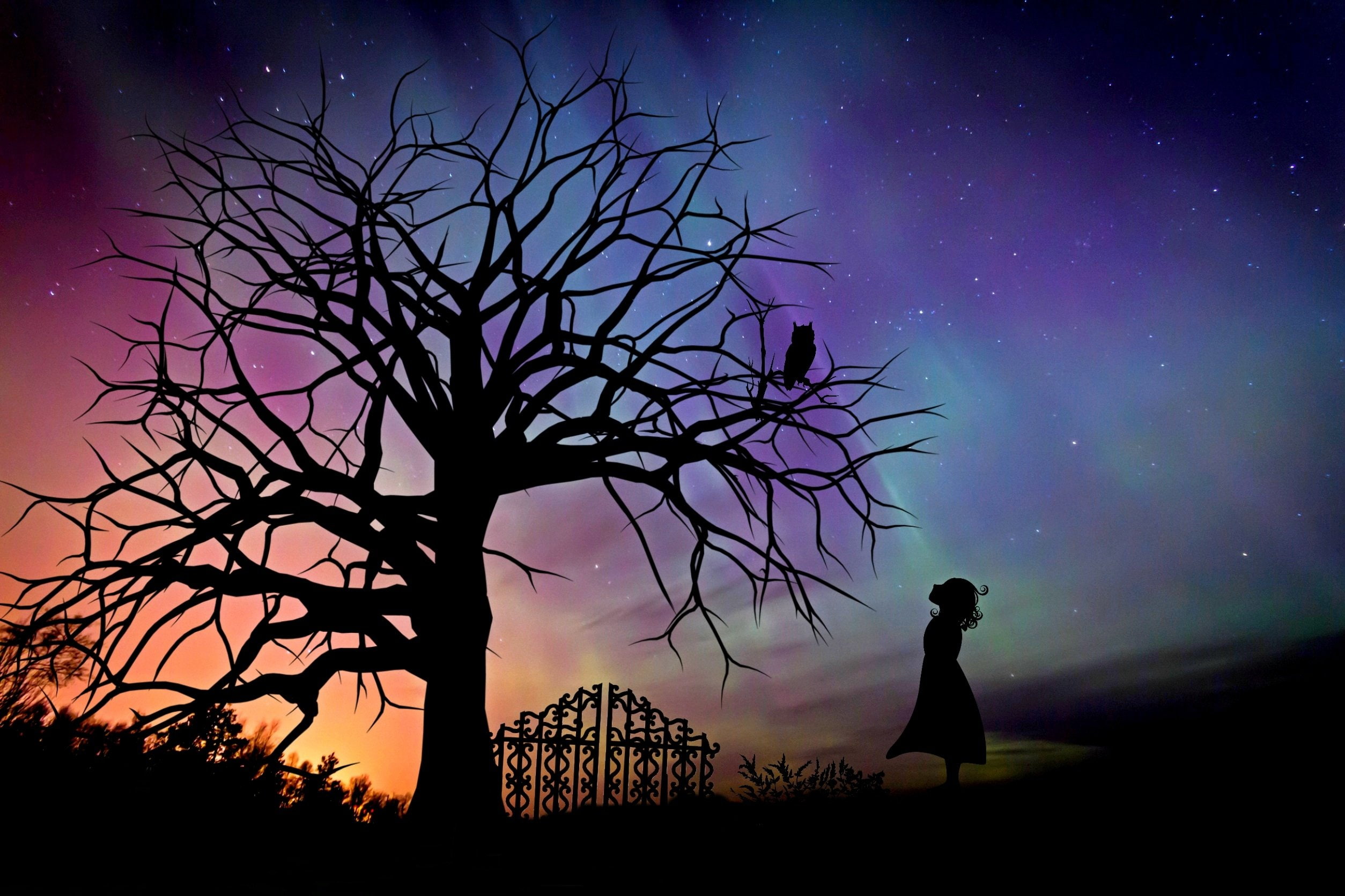 1080P, fantasy, tales, girl, fairy, evening, sky, starry, HD Wallpaper