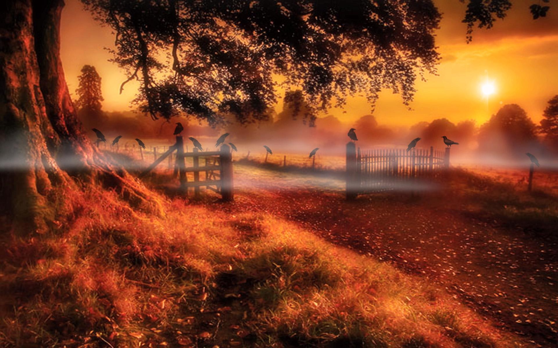 dawn, nature and landscapes, fence, trees, 1080P, autumn, HD Wallpaper