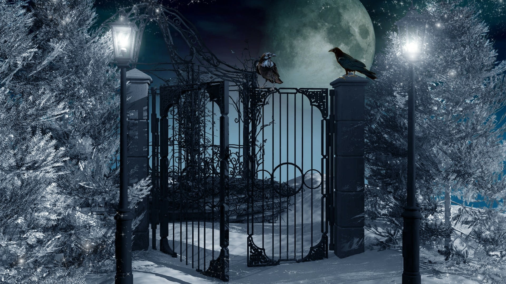 one animal, built structure, animal, outdoors, nature, gate, darkness, crow, no people, snowing, moon, plant, full moon, architecture, bird, raven, tree, HD Wallpaper