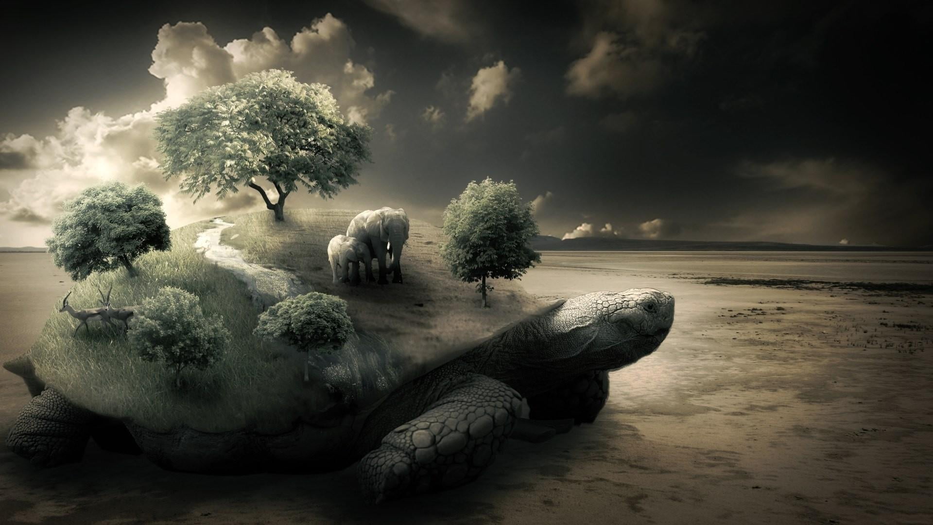 nature, beauty in nature, photoshop, surreal, creation, scenics - nature, beach, elephants, outdoors, tranquil scene, sea, concept, land, water, turtle, HD Wallpaper