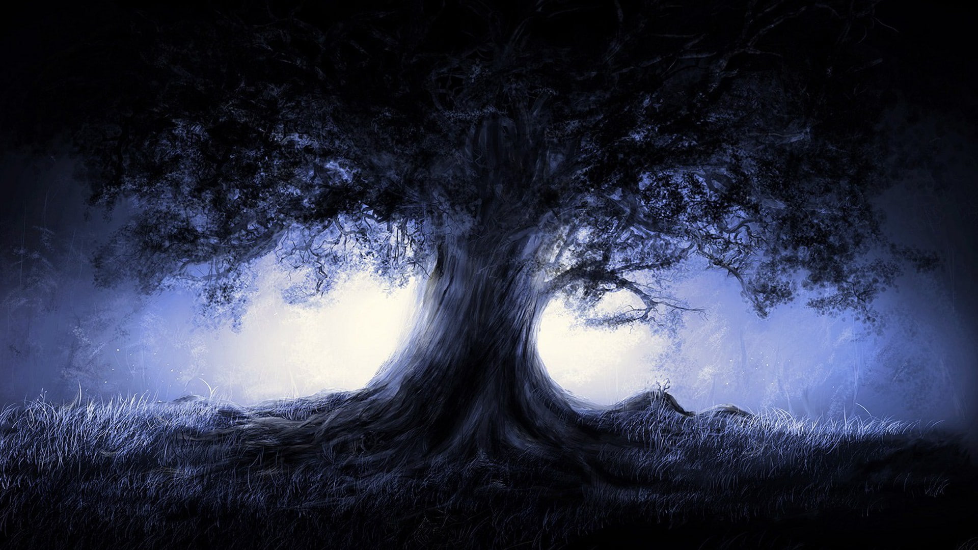 magic, tree, dreamy and fantasy, 1080P, HD Wallpaper