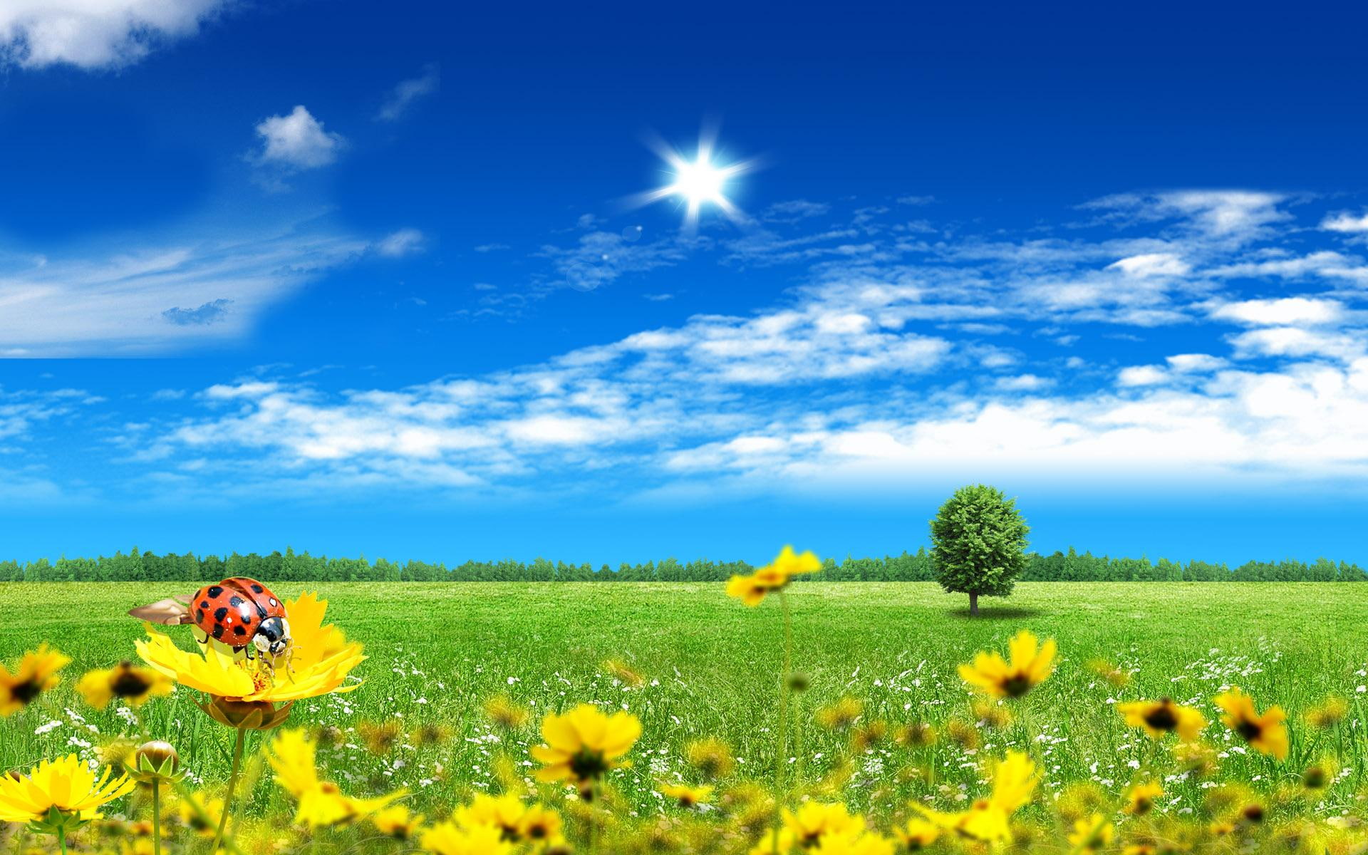 world, fantasy, dreamy and fantasy, beautiful, 1080P, HD Wallpaper