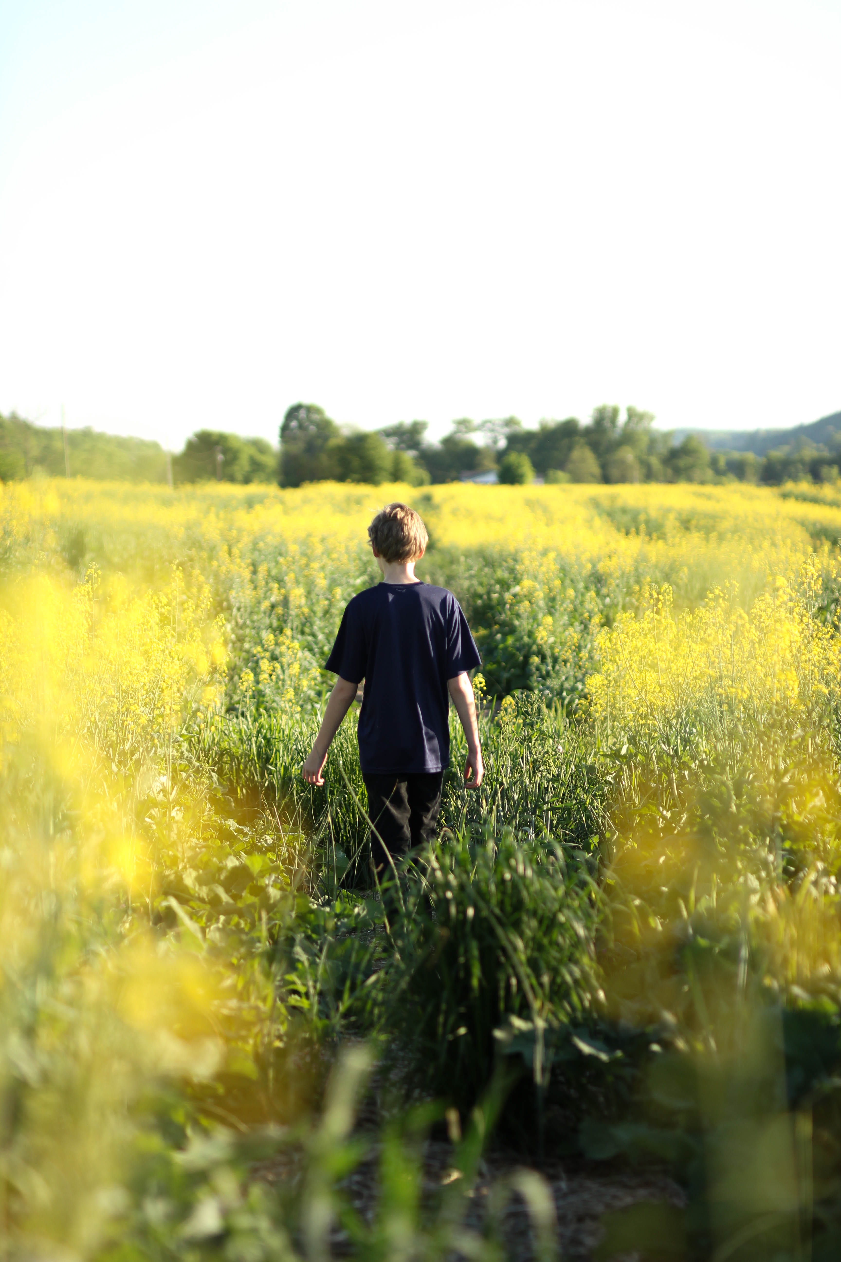 adults only, rear view, adult, nature, one man only, caucasian Ethnicity, 5K, flower, middle, day, walking on, meadow, black shirt, non-Urban Scene, green color, Phone HD Wallpaper