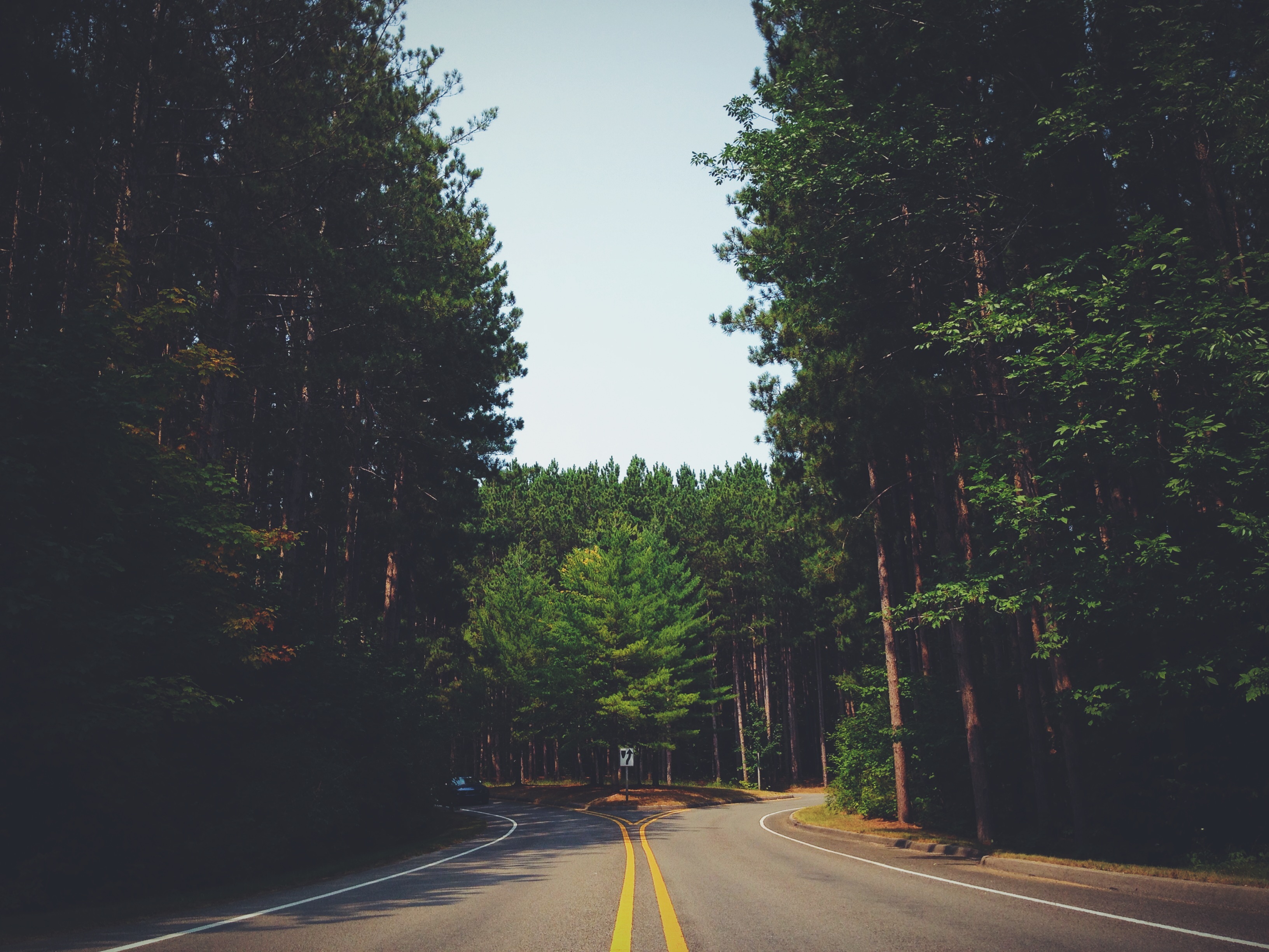 sky, sign, marking, tranquility, symbol, daytime, treelined, way, road marking, direction, near, long, transportation, road, dividing line, trees, asphalt, HD Wallpaper