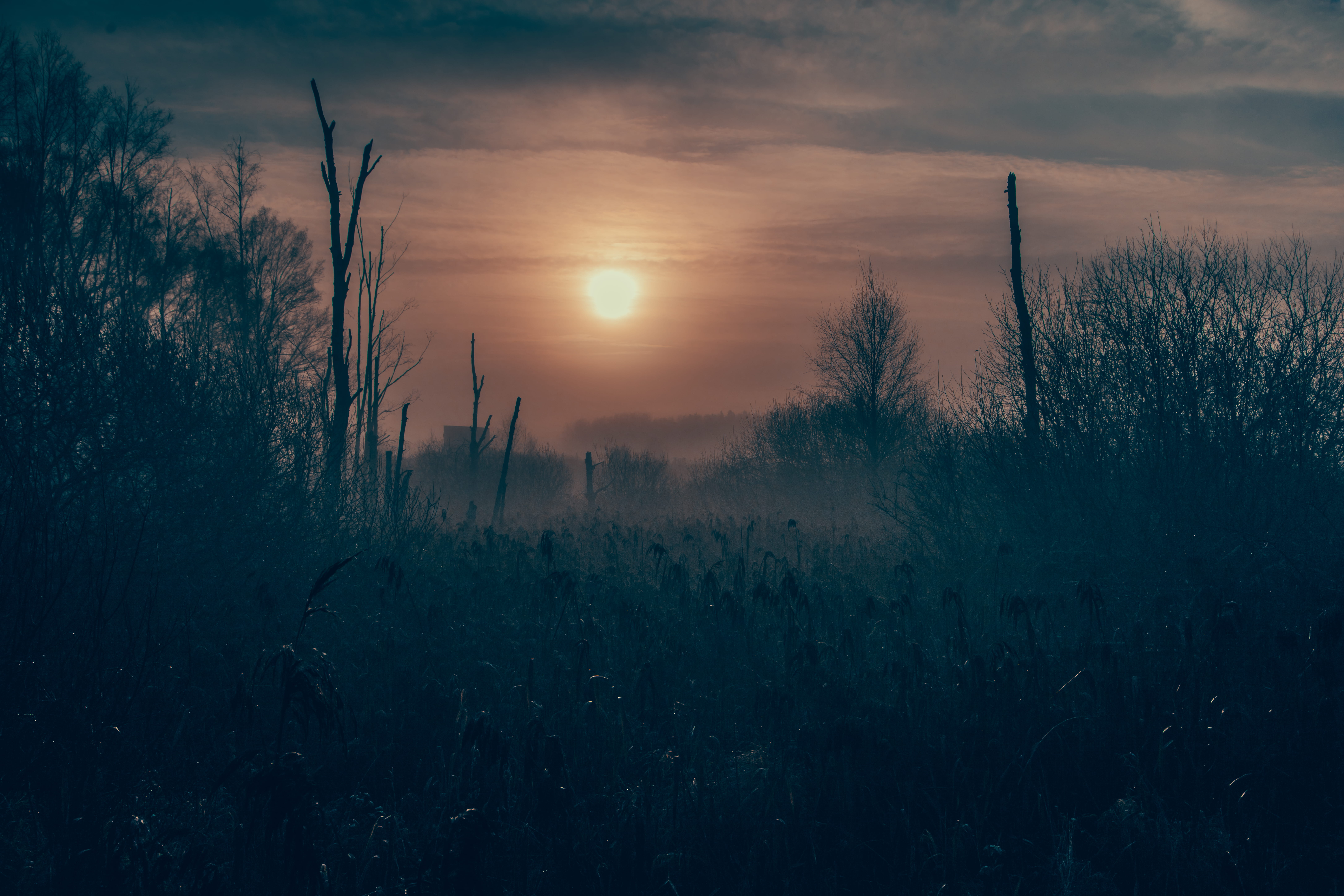 darkness, apocalyptic, cloud - sky, outdoors, dystopia, 8K, growth, environment, field, beauty in nature, scenics - nature, fall, nature, tranquility, HD Wallpaper