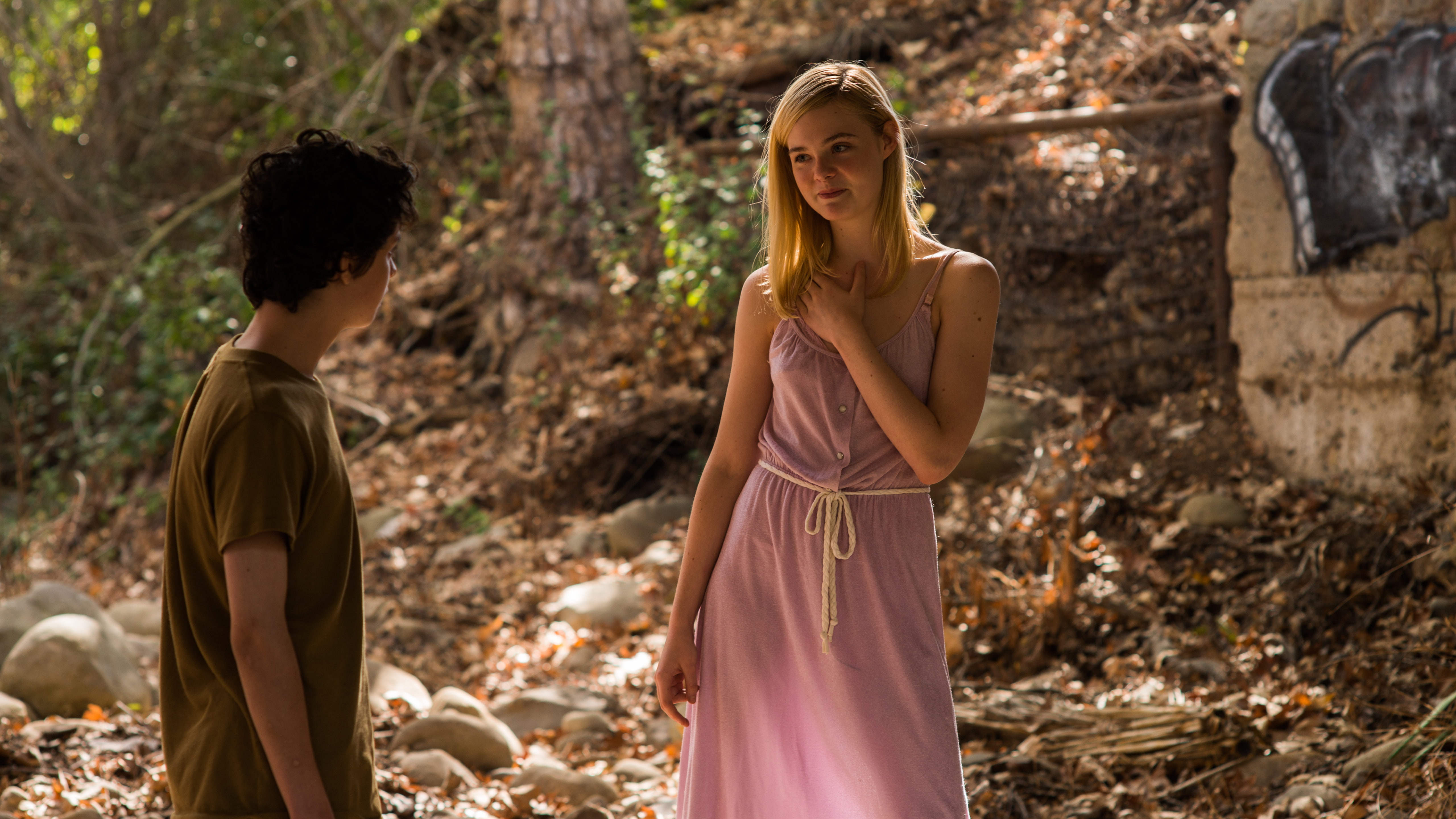 5K, Elle Fanning, 5K, 20th Century Women, HD Wallpaper