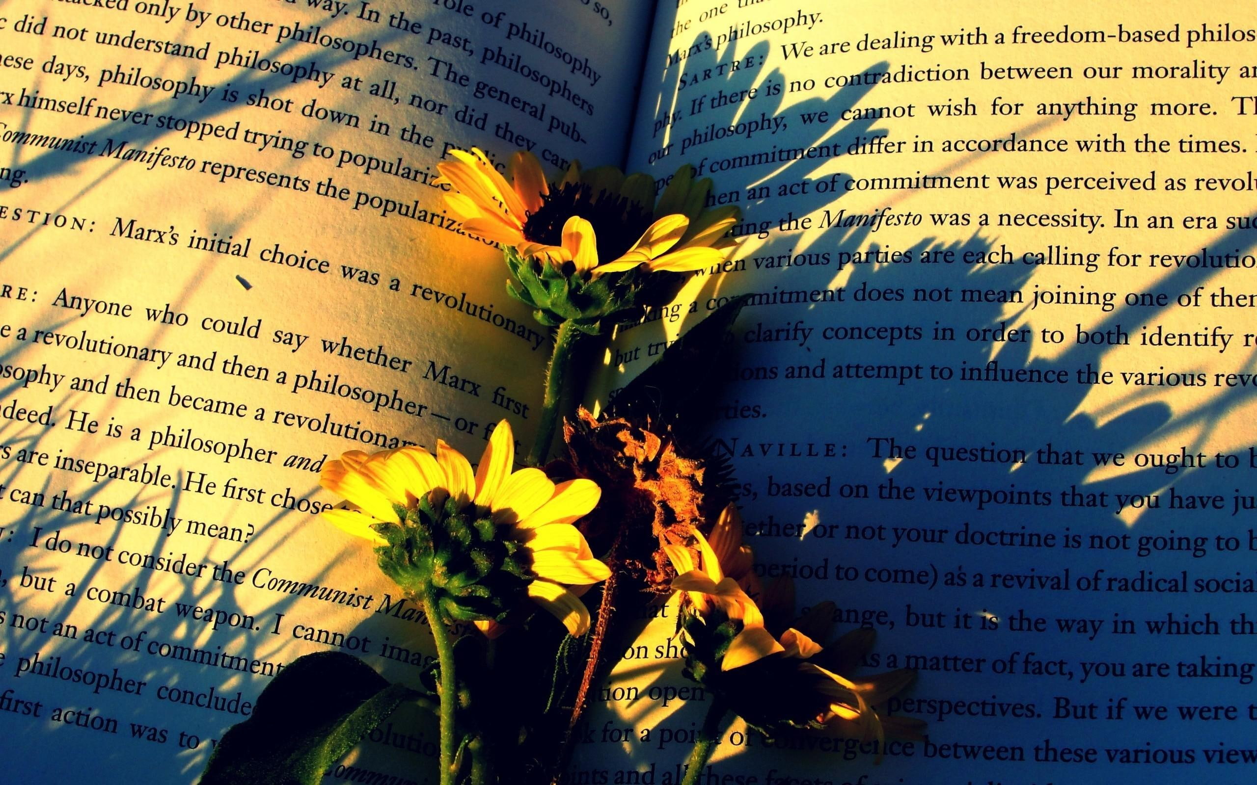 photography, nature and landscapes, book, nature, flowers, remember, 2K, HD Wallpaper