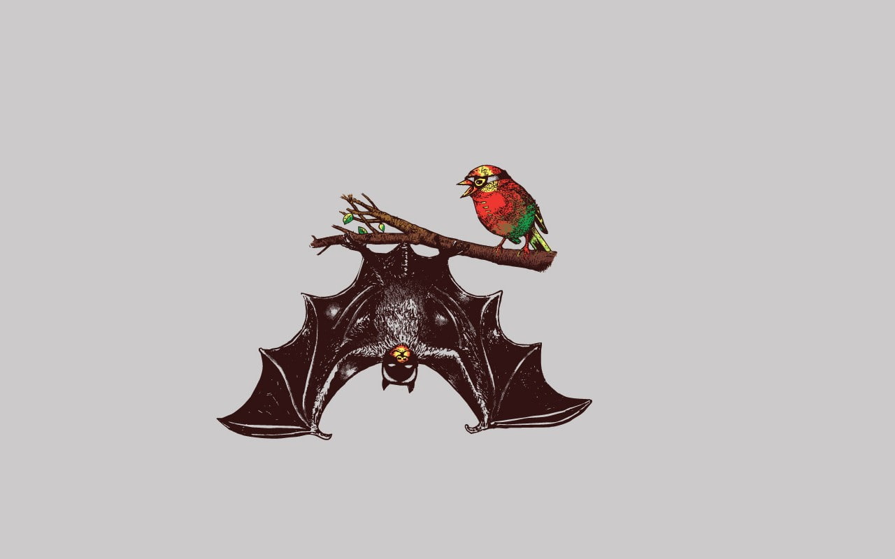 one animal, Robin (superhero), gray, studio shot, animal wildlife, animal themes, vertebrate, 720P, art and craft, animal wing, animals in the wild, comics, HD Wallpaper