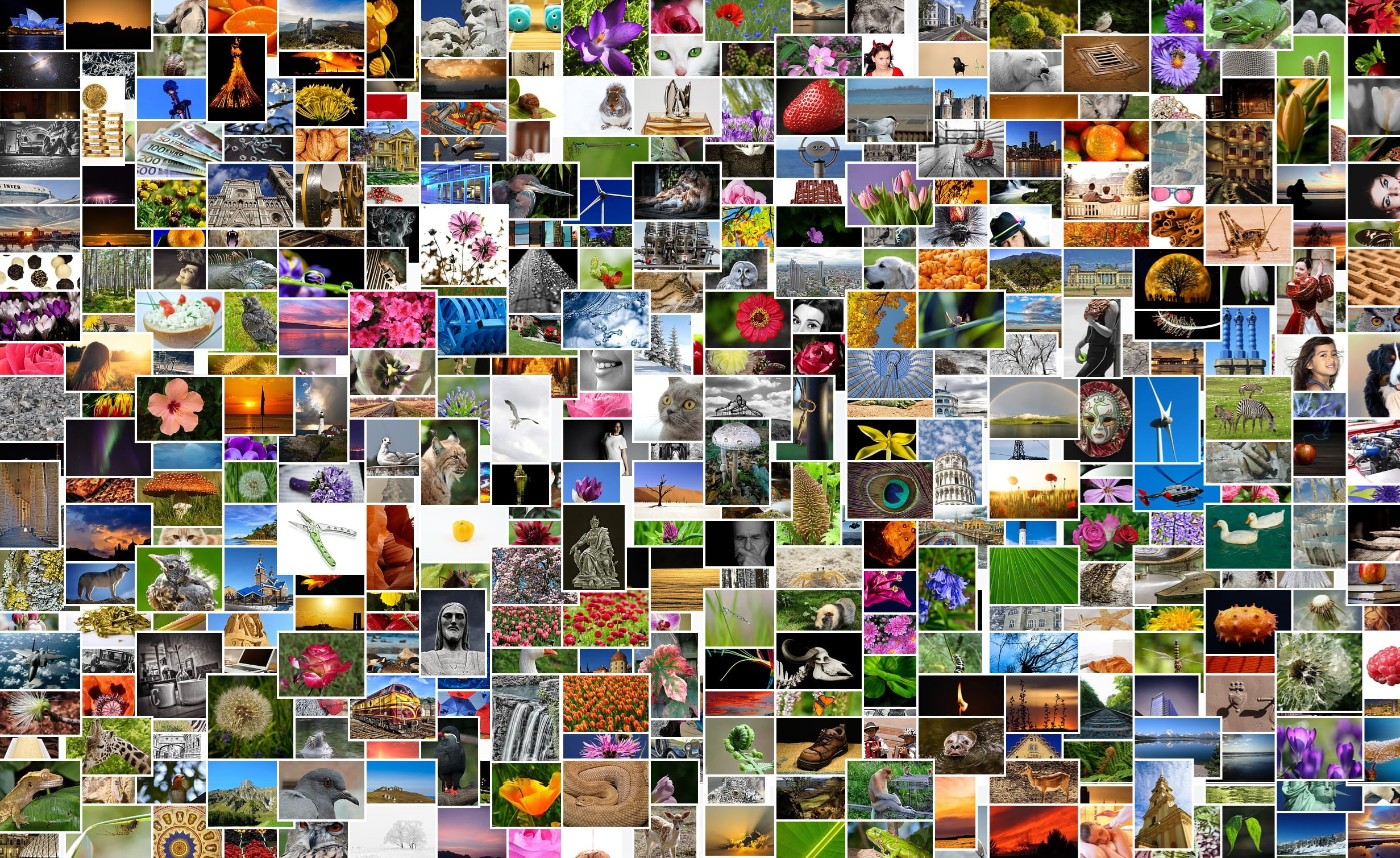 indoors, pictures album, flowers, 1080P, images, choice, communication, pixabay, technology, text, diversity, mosaic, creativity, no people, birds, collection, HD Wallpaper