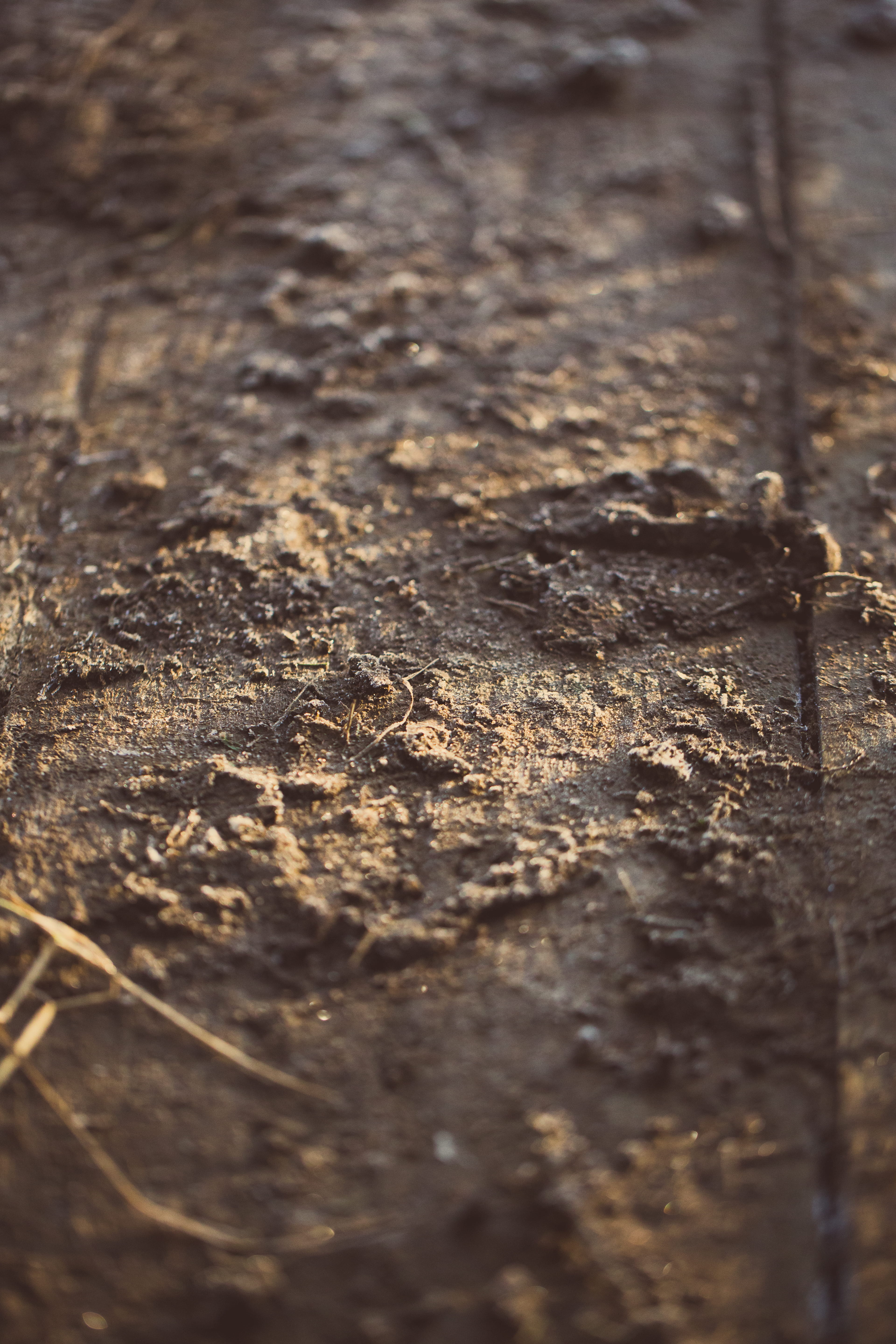 weathered, decline, rough, detail, wooden, walking, frozen, deterioration, earth, textured, outdoors, brown, close-up, muddy, run-down, old, 5K, bridge, Phone HD Wallpaper