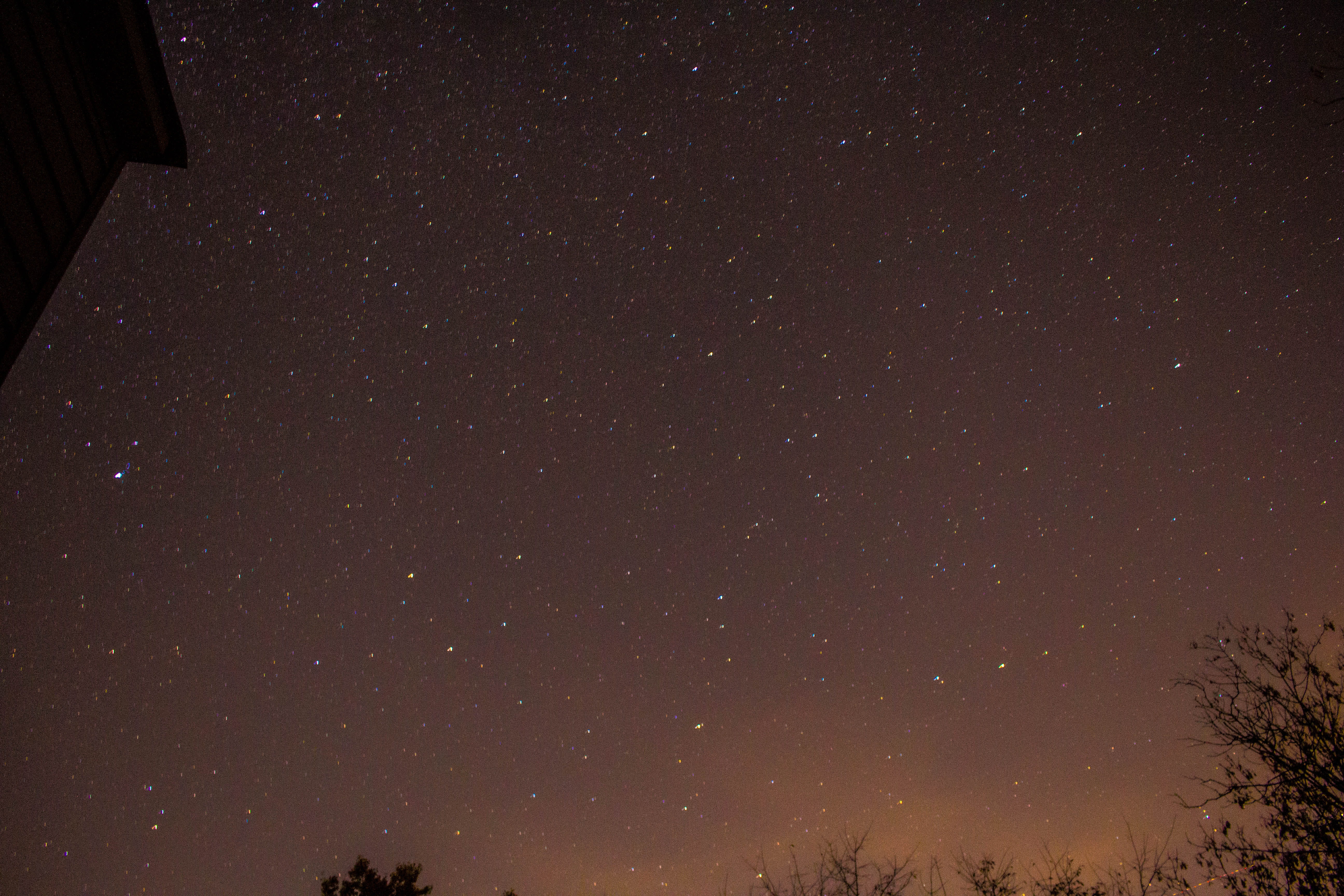 galaxy, star field, 5K, night, star - space, michigan, infinity, nature, scenics - nature, plant, sparkly, tranquil scene, star, space and astronomy, beauty in nature, HD Wallpaper