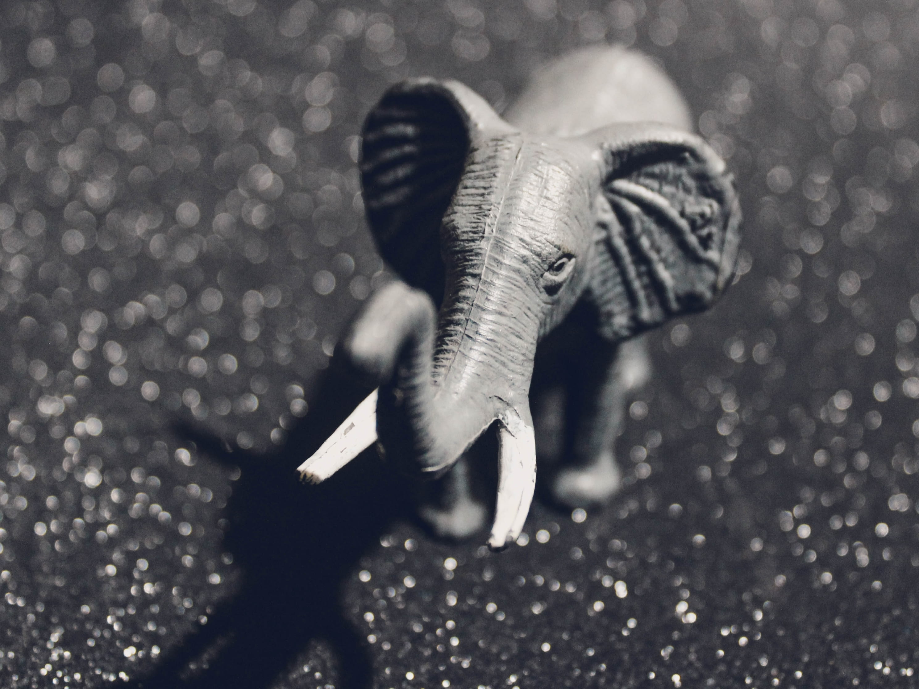 figurine, animal body part, full length, animal wildlife, water, motion, backdrop, selective focus, toy, sparkly, nature, animals in the wild, one animal, HD Wallpaper
