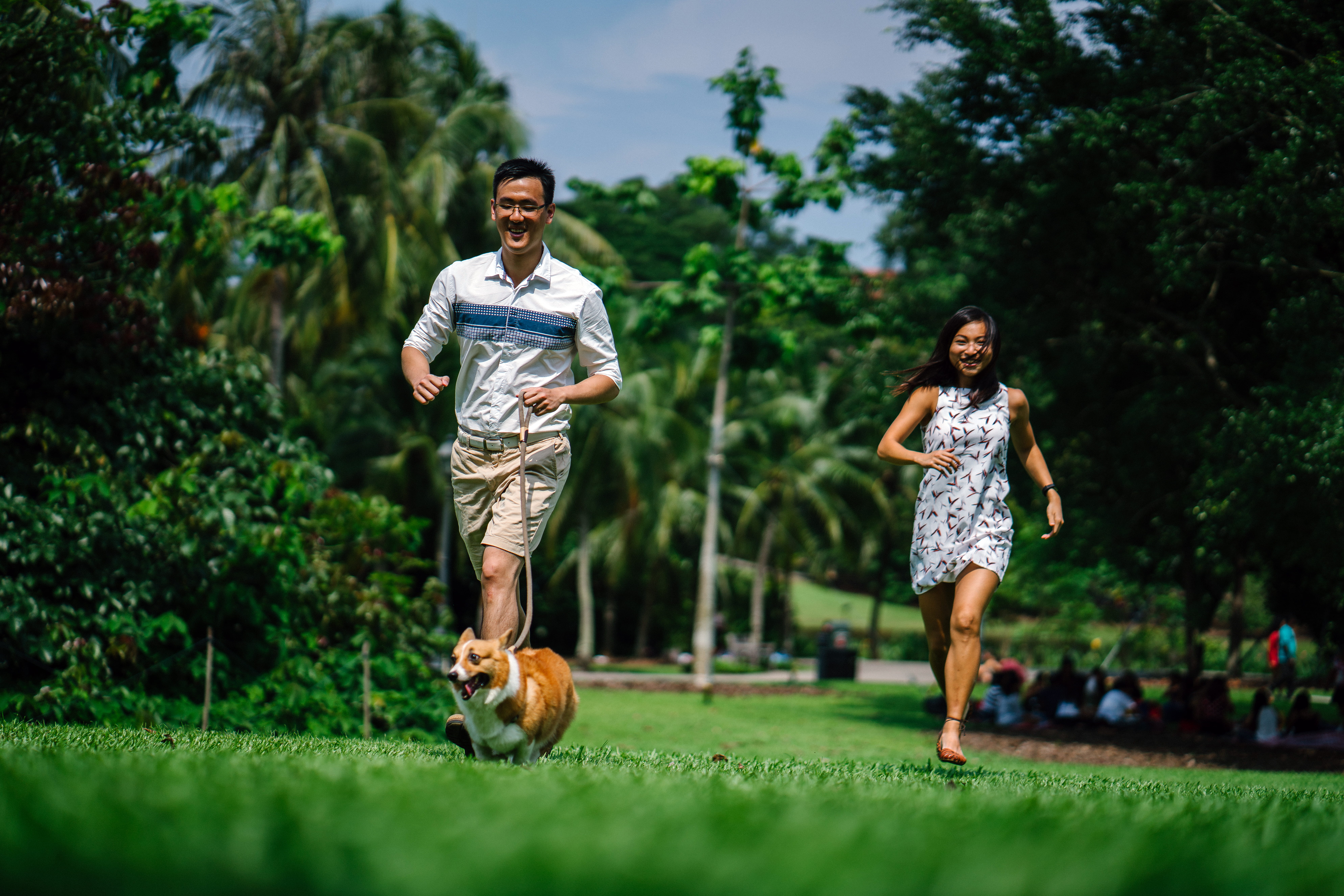pet, day, park, healthy, emotion, full length, tree, activity, weekend, near, canine, friendship, puppy, happy, leisure activity, run, daylight, leaf, couple, HD Wallpaper