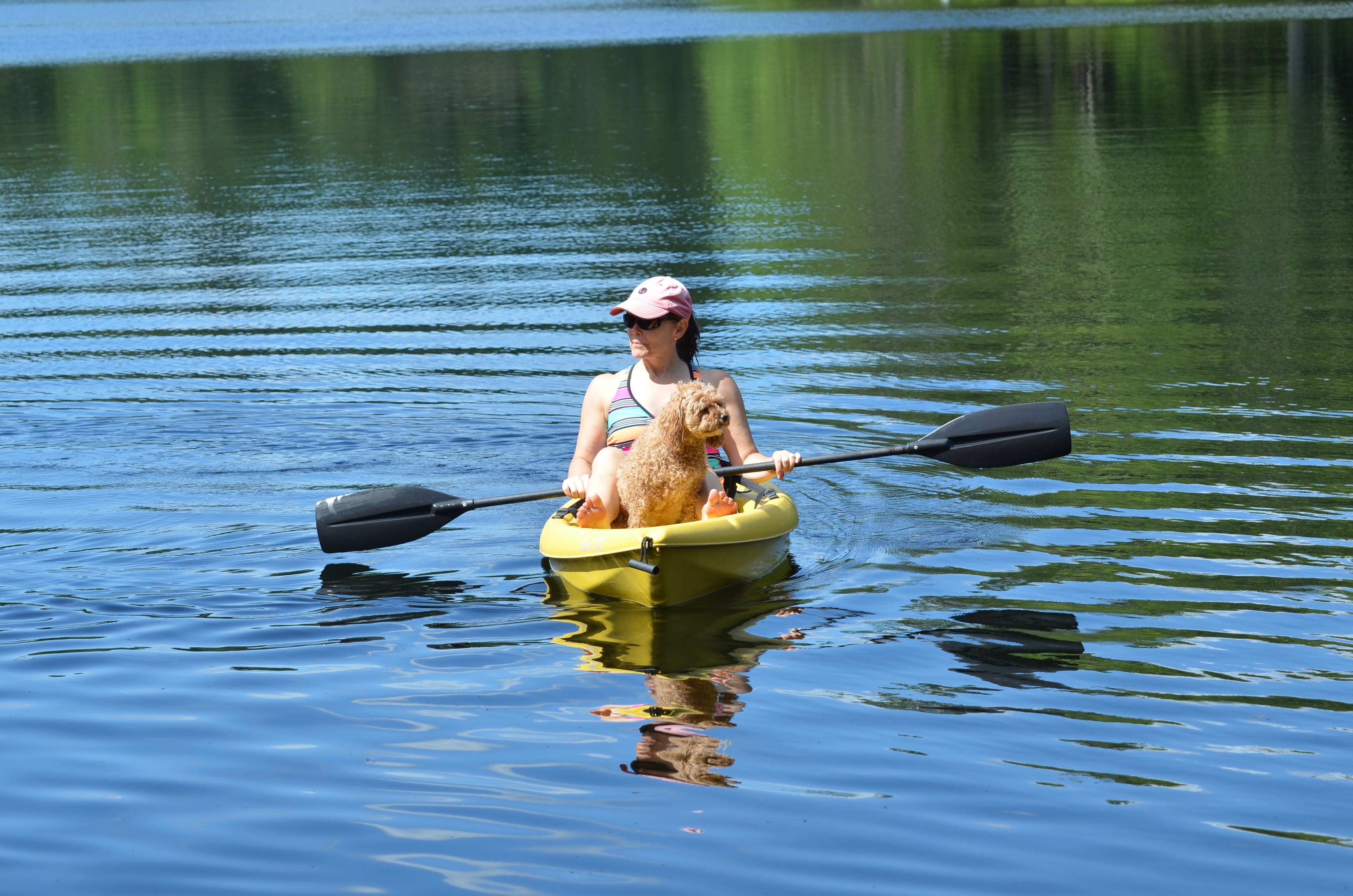 holding, recreational Pursuit, men, adult, Lake, nature, oar, weekend activities, rowing, males, two people, Canoe, women, sitting, ripples, canoeing, river, HD Wallpaper
