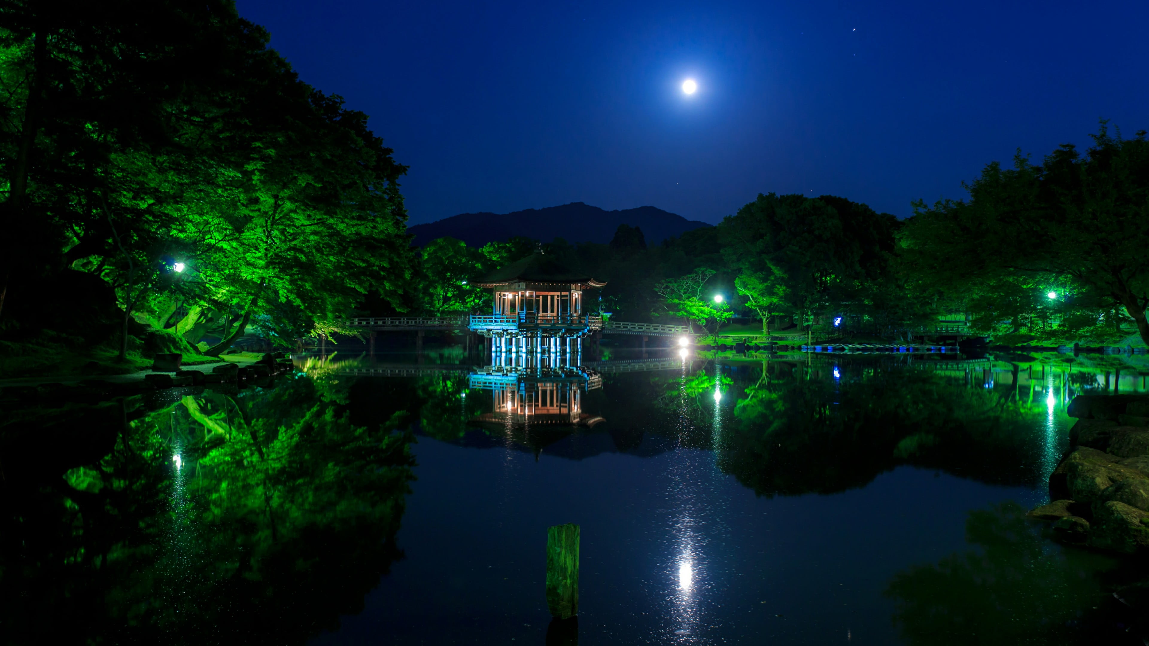 outdoors, tranquil scene, japan, reflection, pond, asia, no people, lake, building exterior, scenics - nature, night, full moon, nara park, moonlight, tranquility, HD Wallpaper