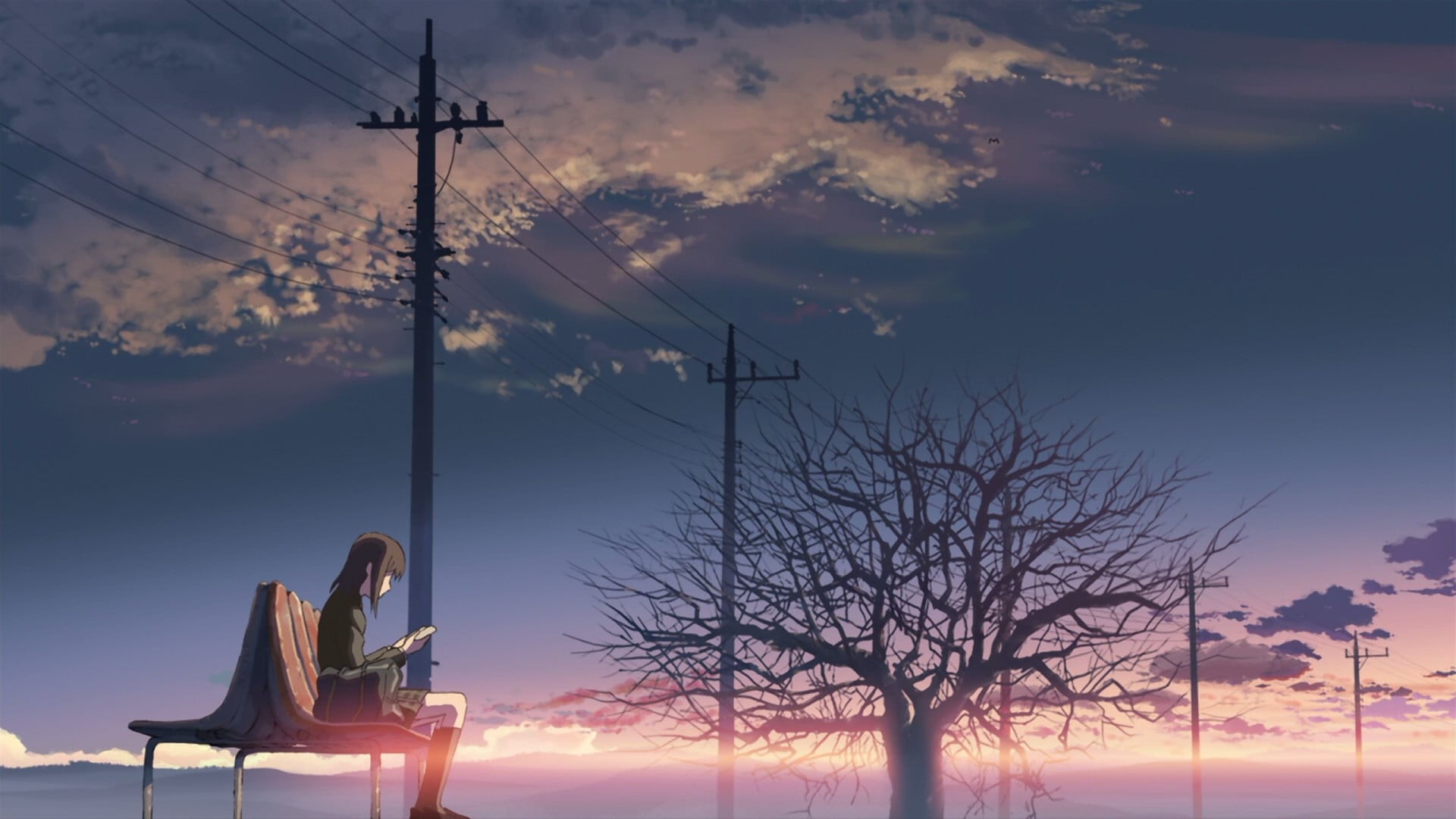 electricity, trees, dusk, anime girls, brunette, power line, silhouette, 5 Centimeters Per Second, connection, tree, sunset, power supply, one person, sunlight, HD Wallpaper