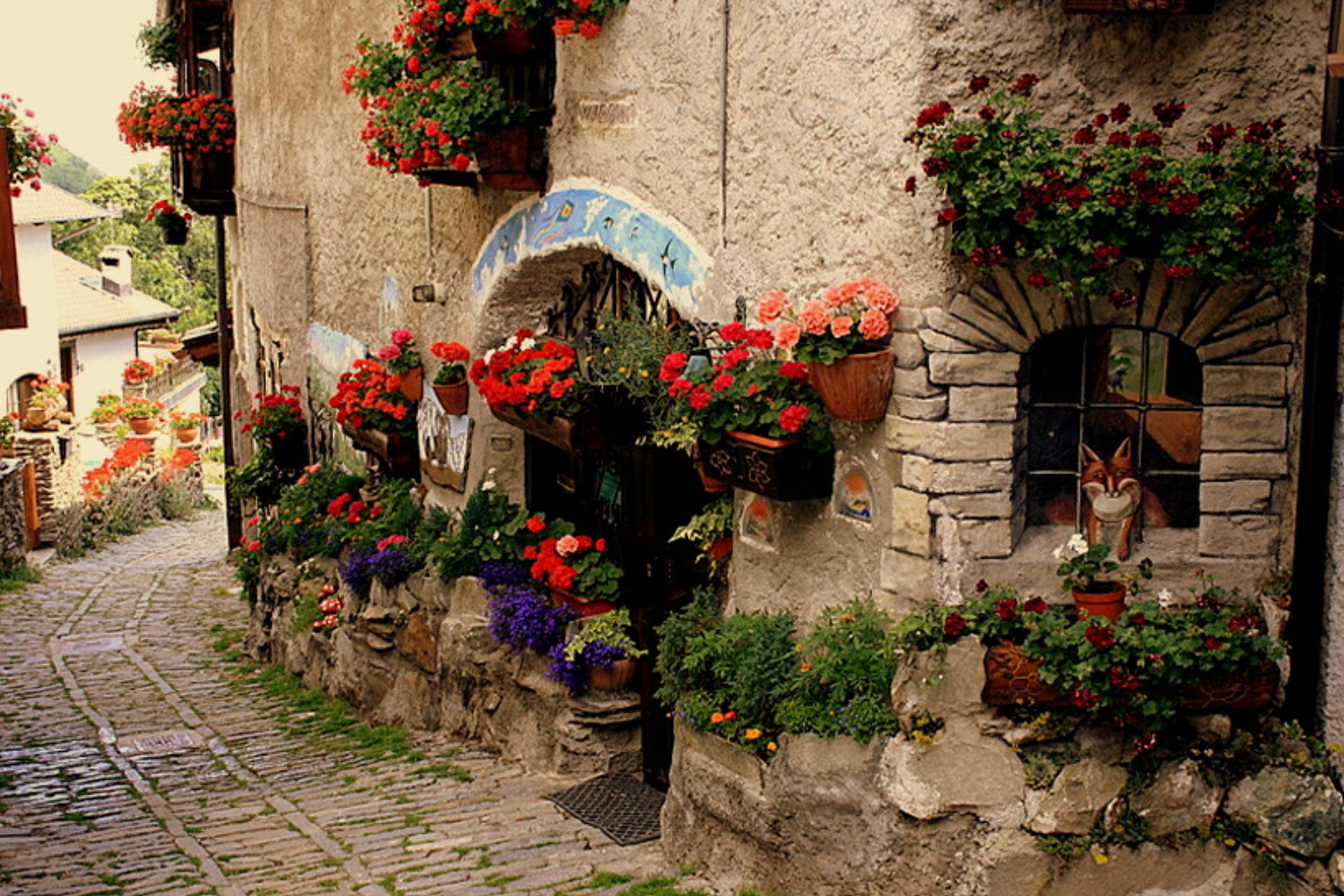 cobbled street, rue, flowers, animals, red, street, buildings, la, lovely, 1080P, HD Wallpaper