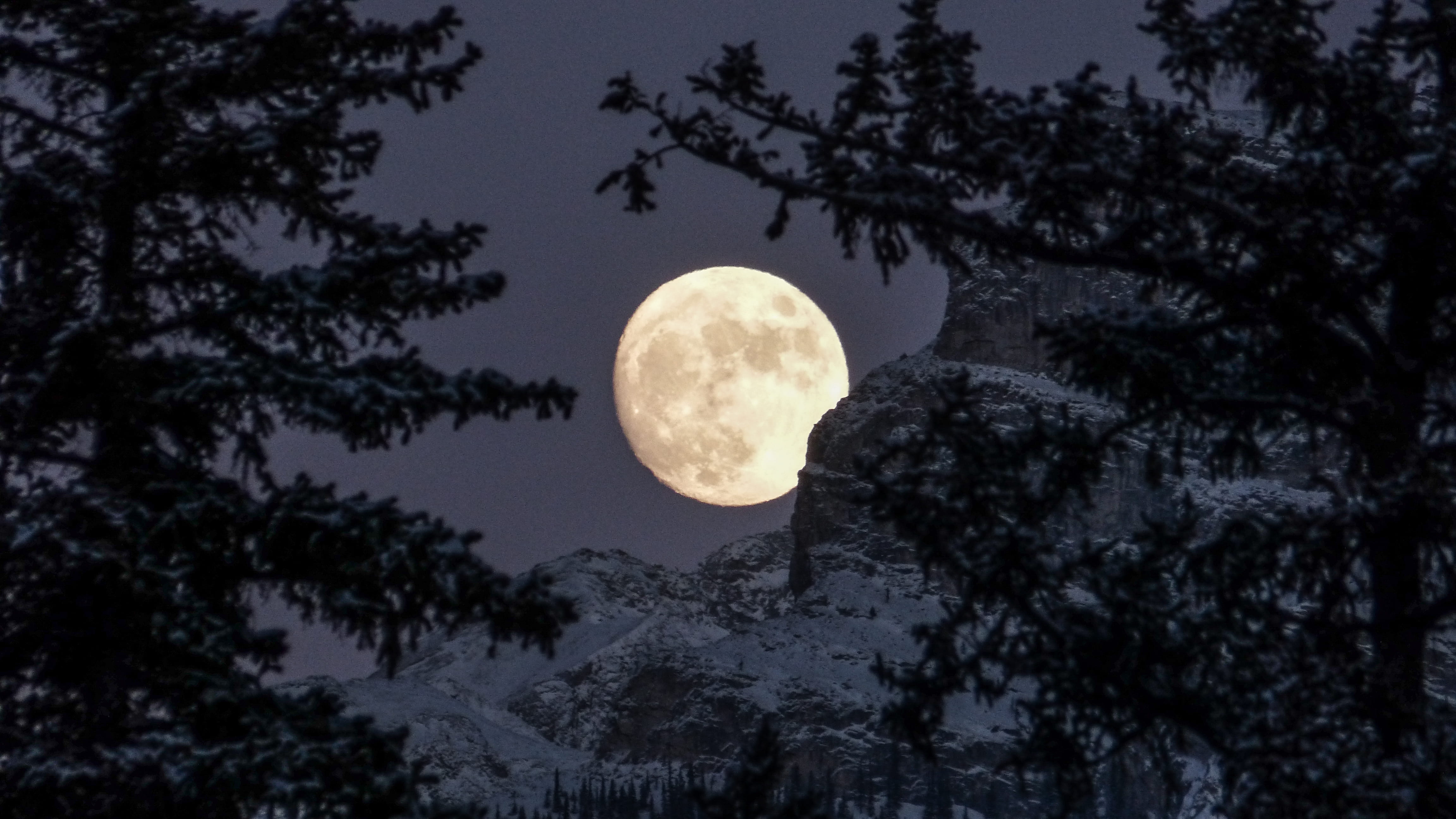 full, astronomy, trees, sad, circle, shape, crater, canmore, outdoors, 4K, space, nature, tranquility, beauty in nature, low angle view, silhouette, alone, HD Wallpaper