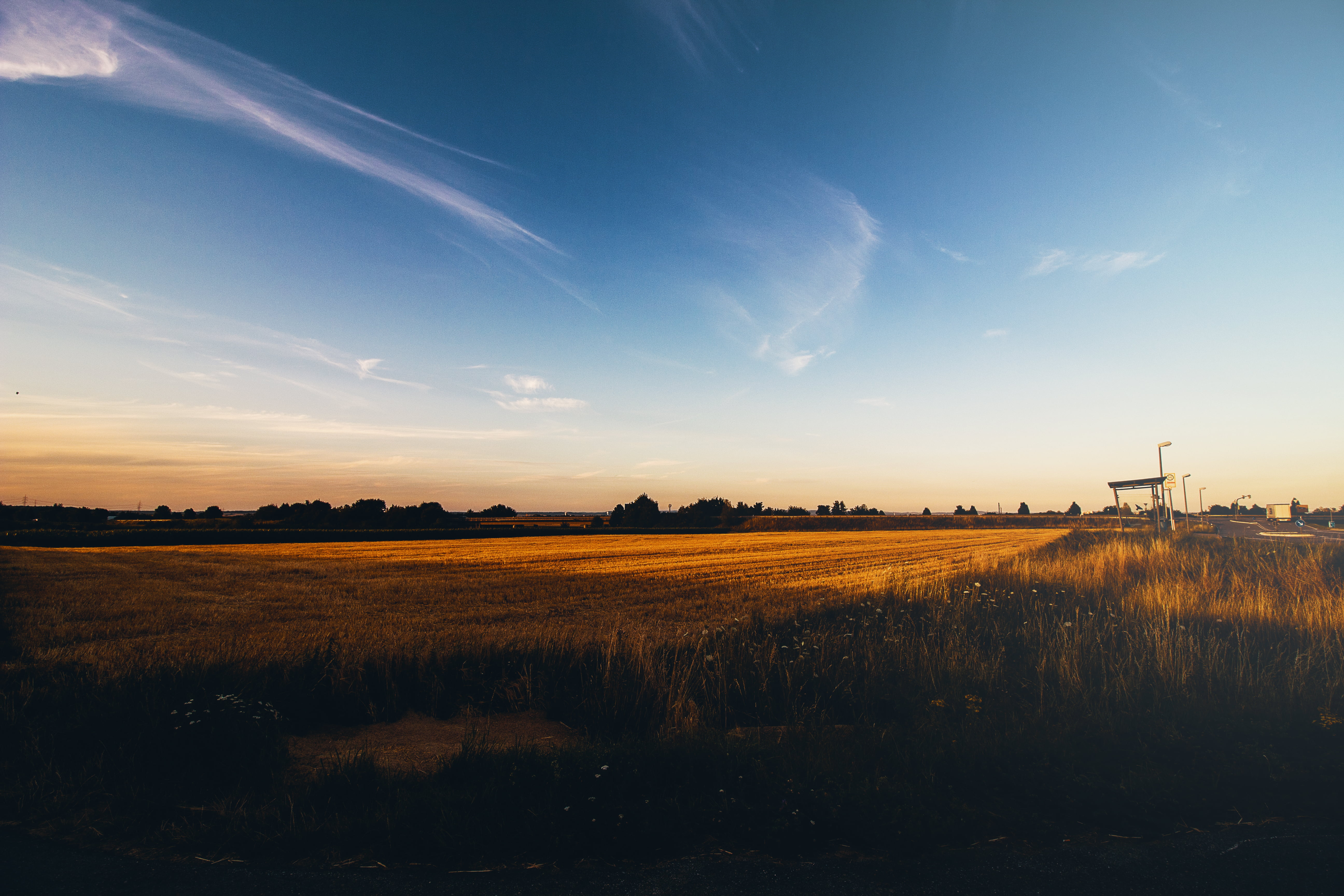 growth, nature, outdoors, field, landscape, 5K, sunset, tranquil scene, scenics - nature, no people, clear sky, Sun, brown, sky, rural scene, tranquility, HD Wallpaper