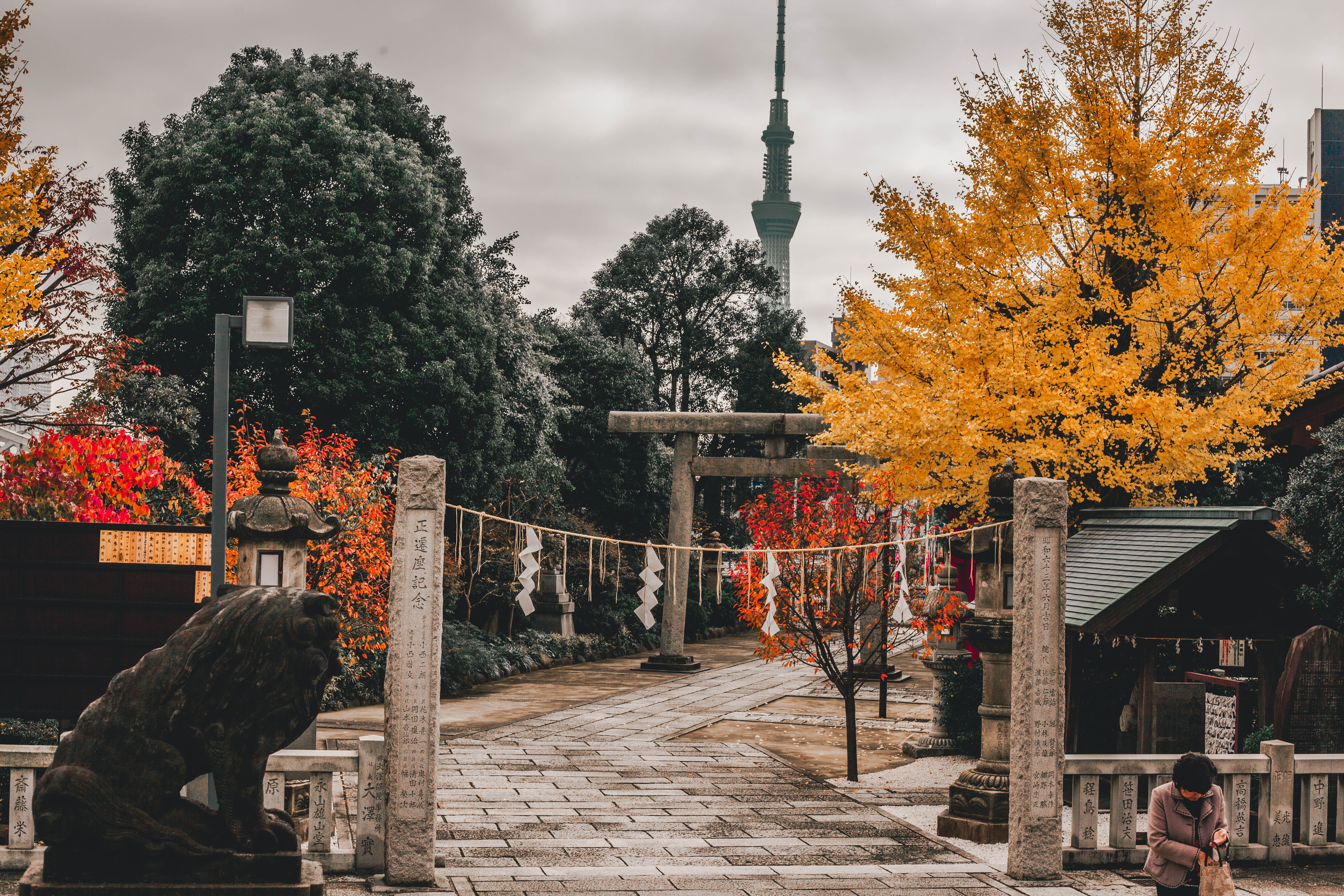 japanese temple, garden, autumn, woman, tree, 5K, religion, orange color, asia, gate, spire, nature, near, architecture, person, place of worship, shrine, HD Wallpaper
